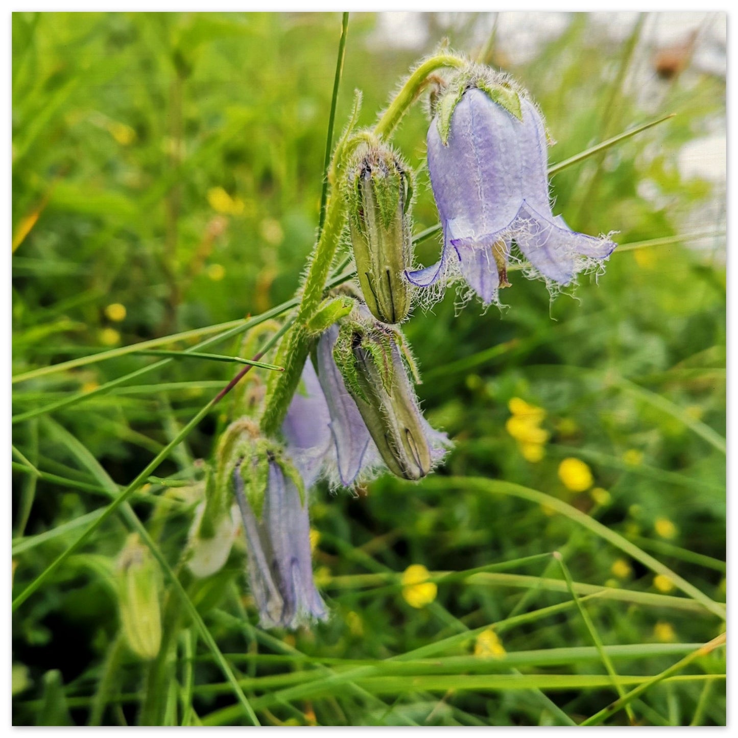 0707b57b-8c77-402d-b1c6-20c648fe002d