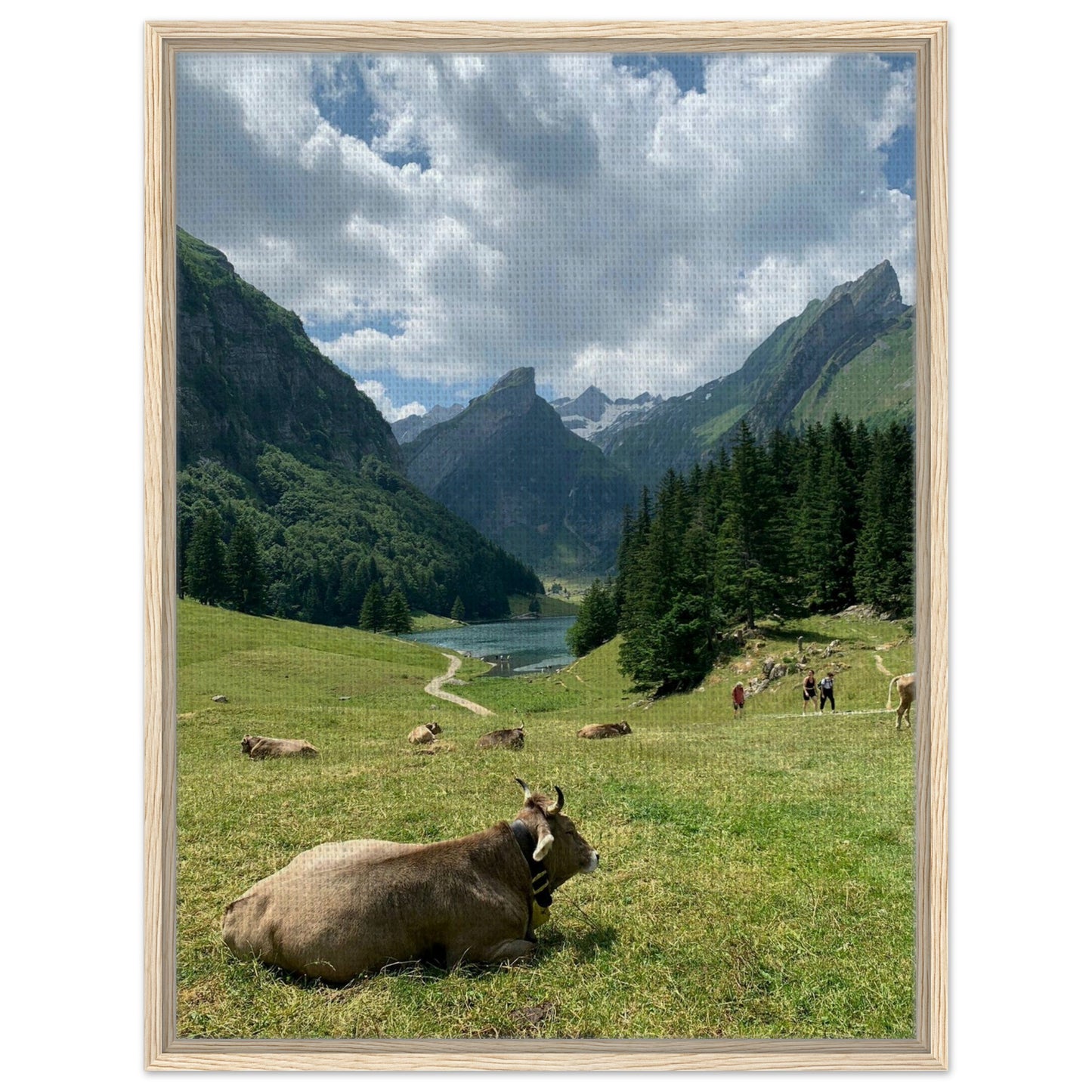 3ead517f-6f3e-453f-99f5-b2e8b0e14f3d