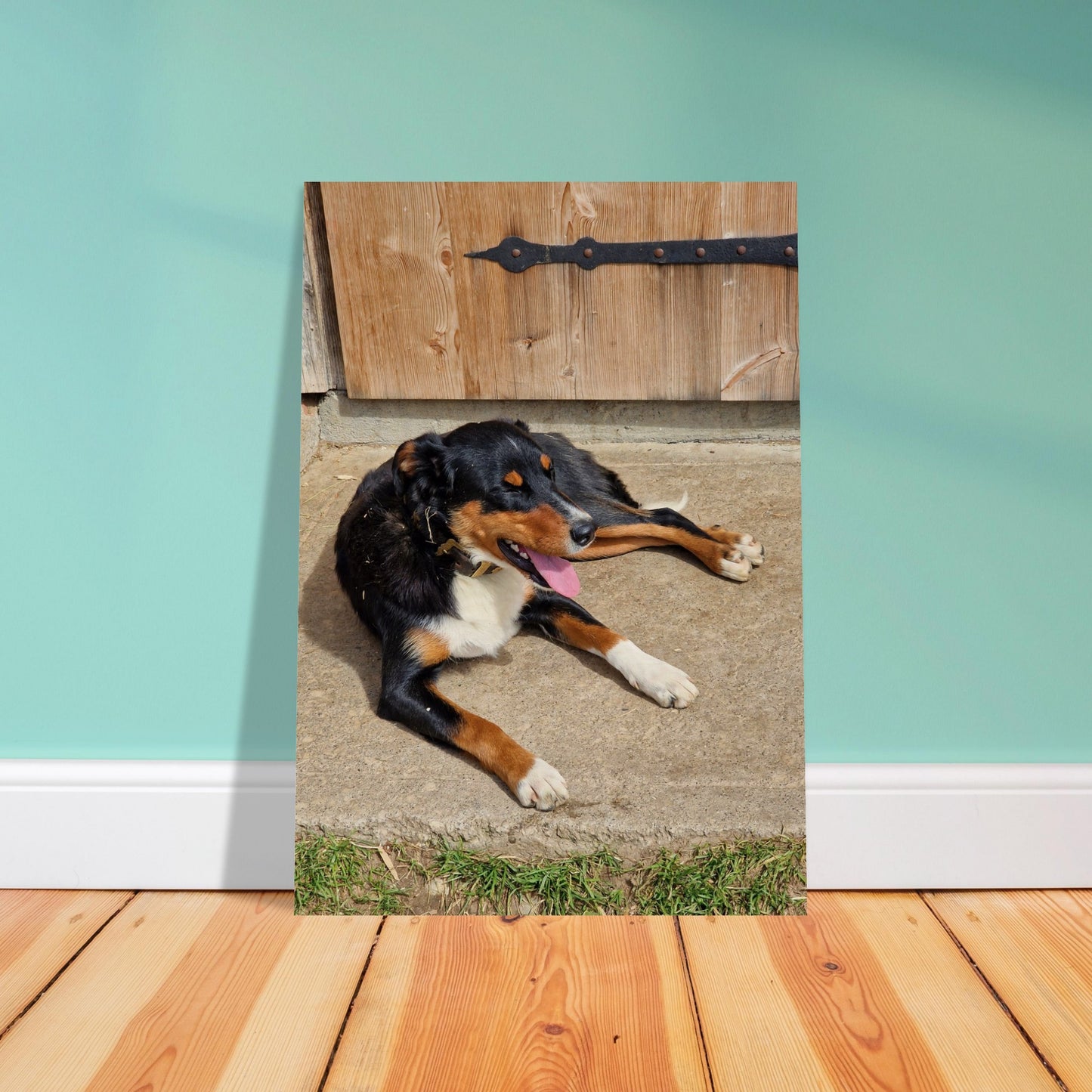 4219a8f3-b706-40ba-b703-df5cbb63d2c1