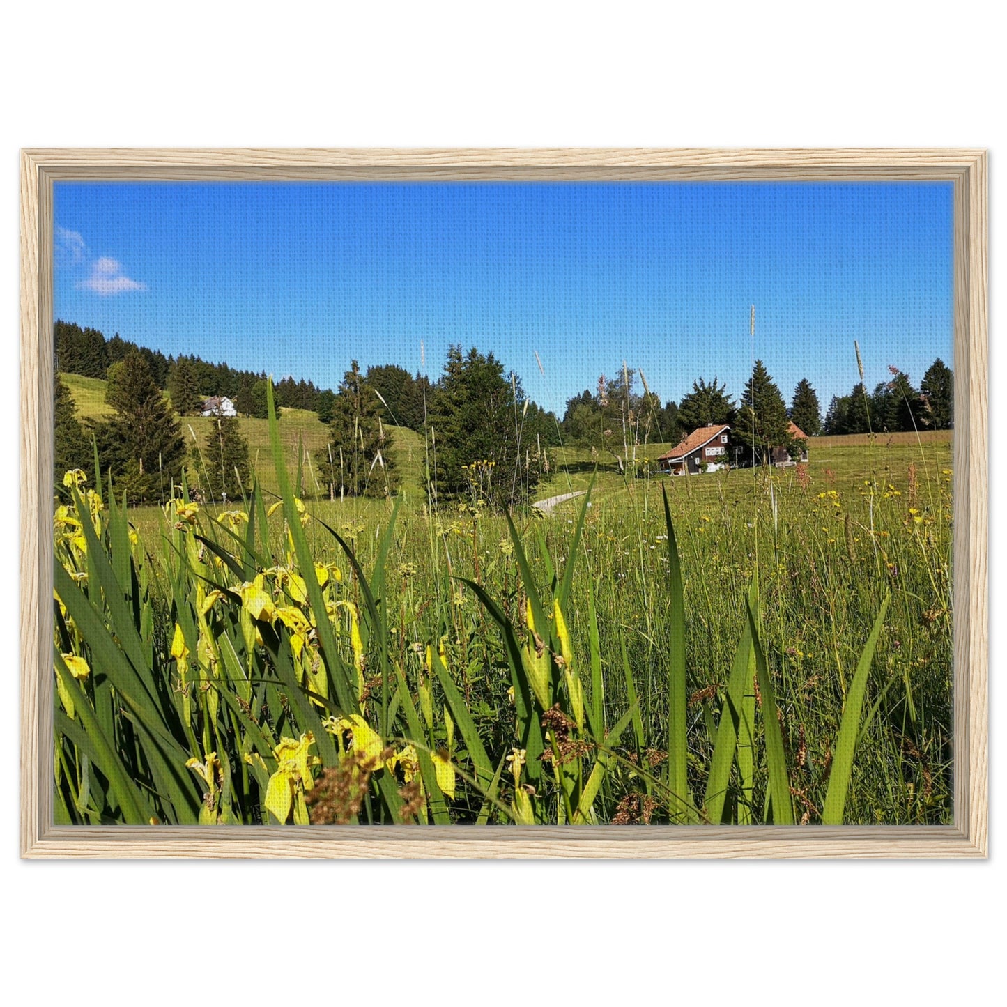 805f78c3-d822-44f3-8a49-f1b2102ce81b