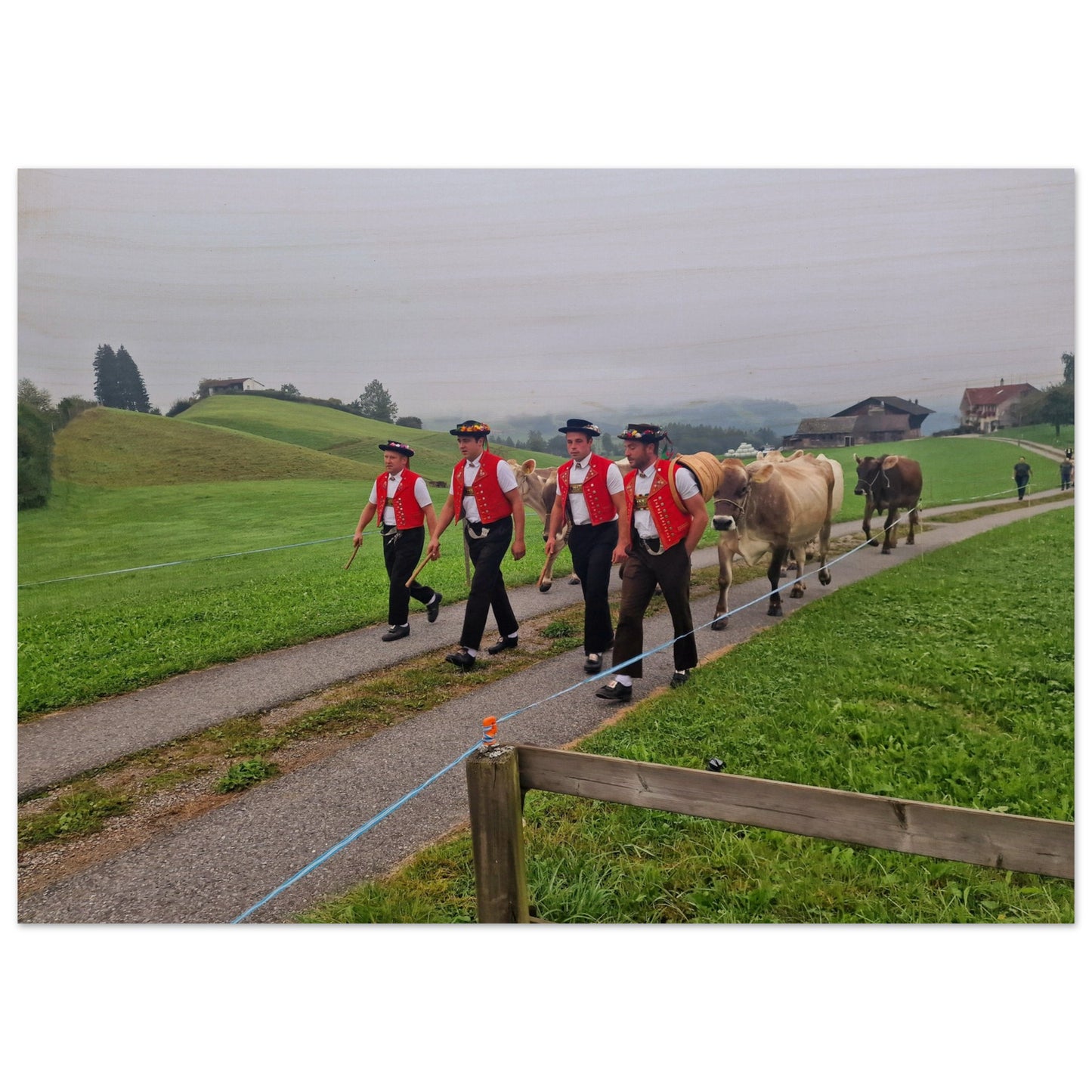 8d4c969b-ed61-478a-81b5-4f8456c7a7ca