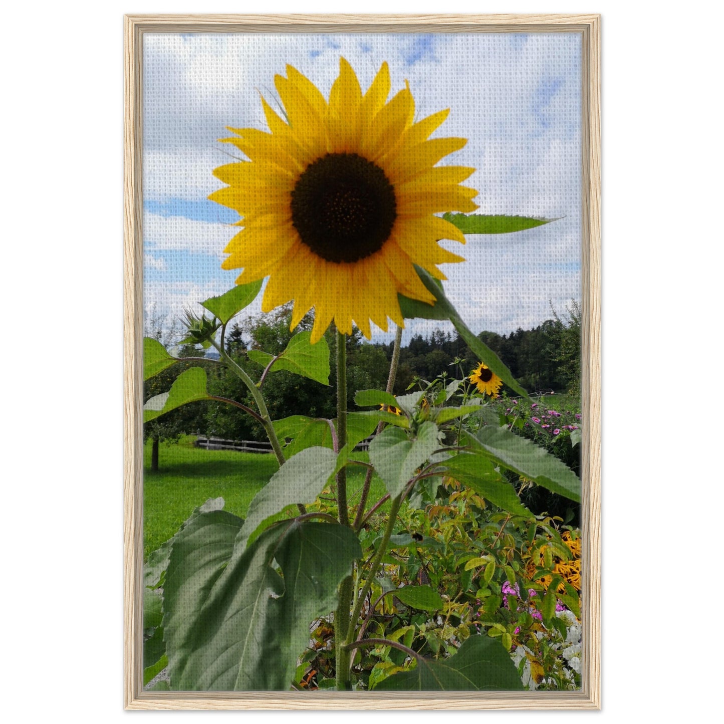 c09999e3-5b85-4b8b-979d-f3fd128dbdf1