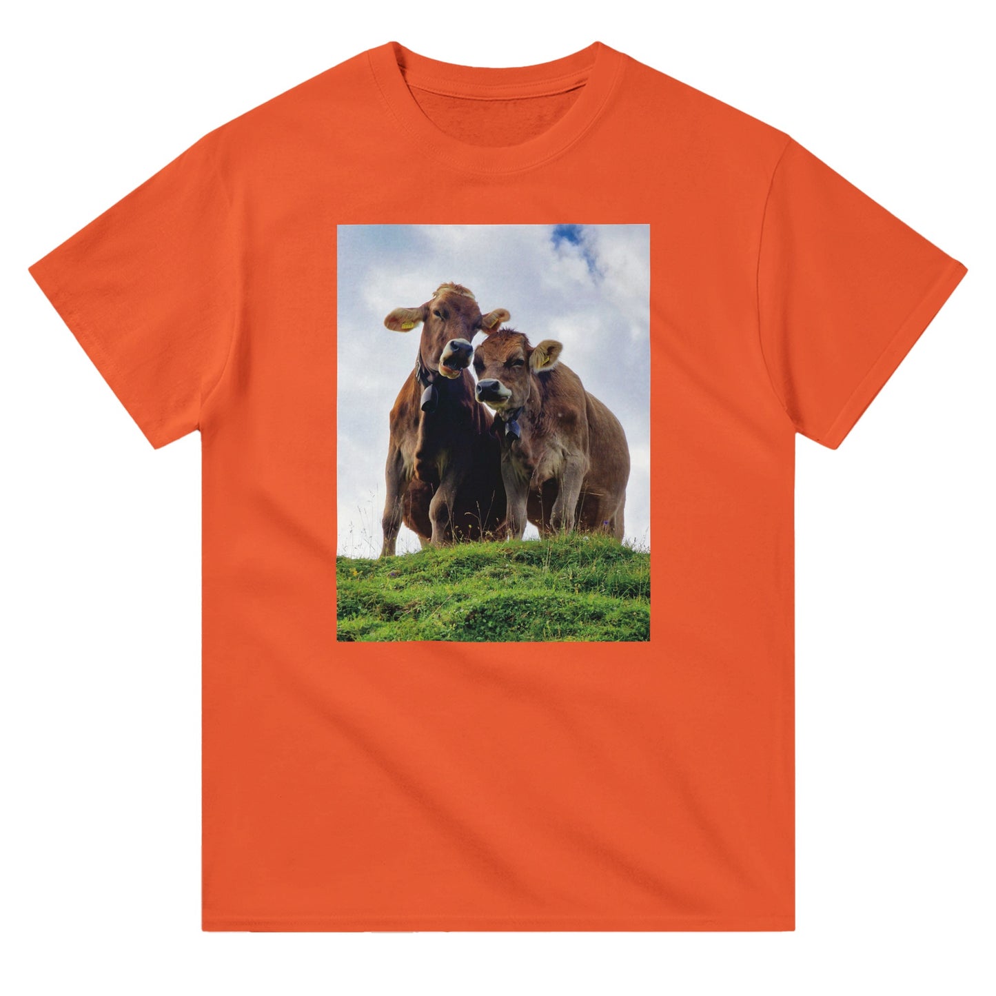 ca656c5f-714e-4c15-8f55-ca957c331859