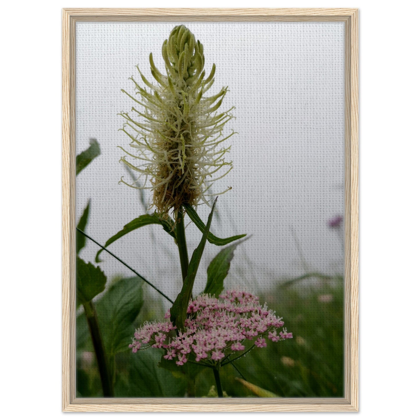 cb0a2f70-95b8-41c9-8d41-61429df6ca3f