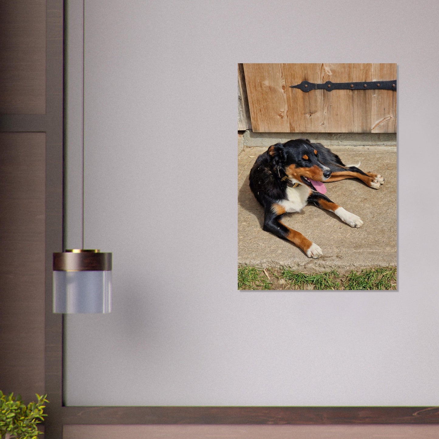 0030452d-675a-4e88-9856-8d01a0a8f116