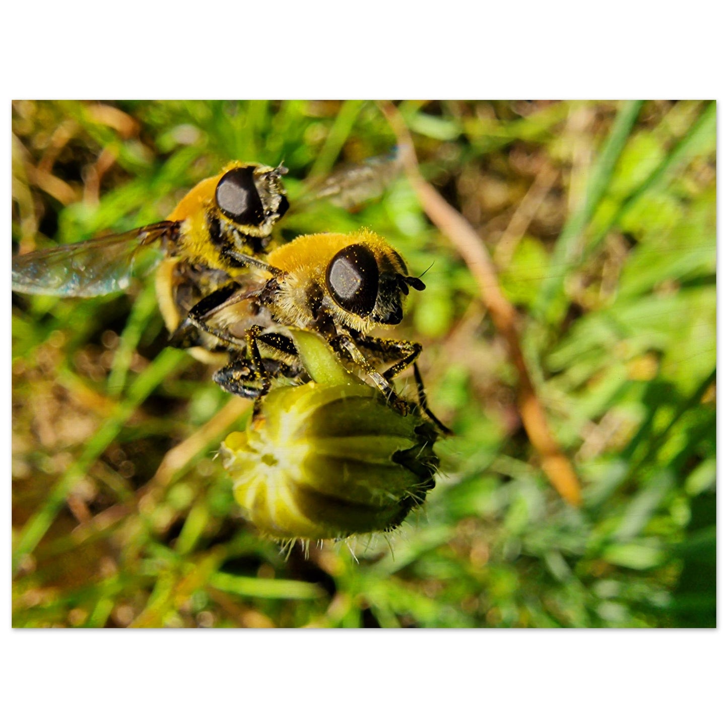 009c6f22-cf49-48df-8ca7-92b5271e931f