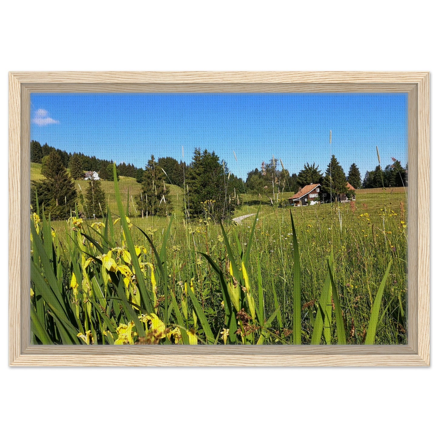 02dbecba-1201-4202-84d8-a4a7cfc7100c