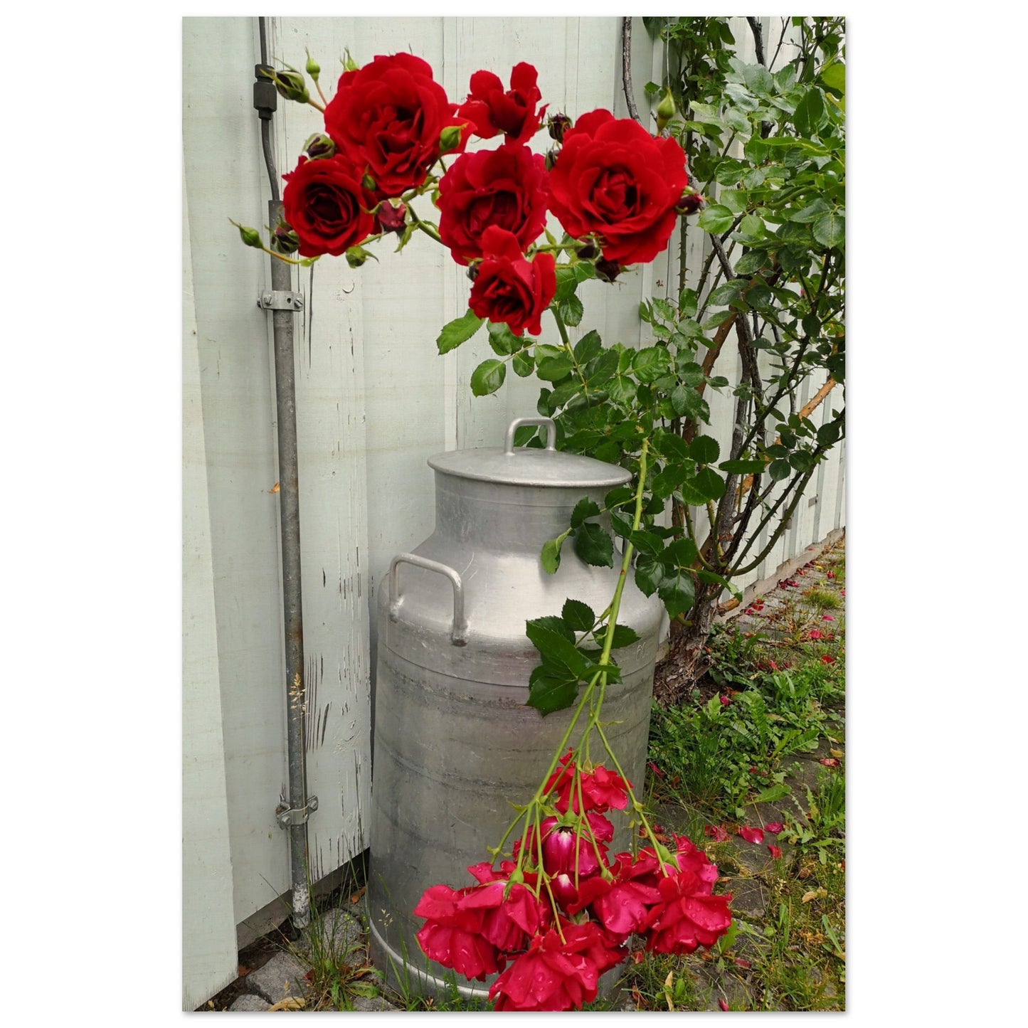 031e8403-71ba-4317-bb32-184430a00c5e