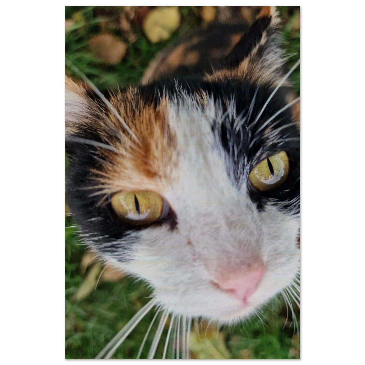 03528df0-9c72-4995-9d85-2388420ed05c