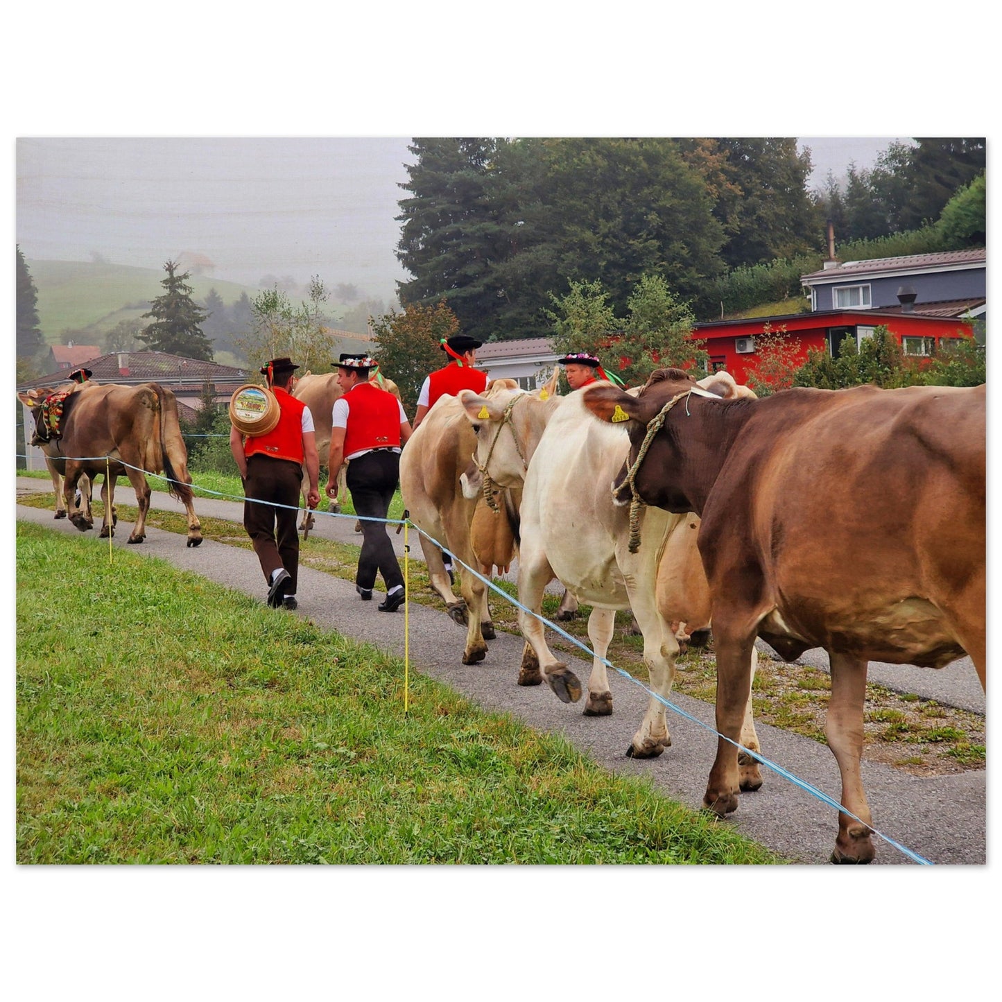 03c243cf-7eb5-40a8-9510-2d5136591fea