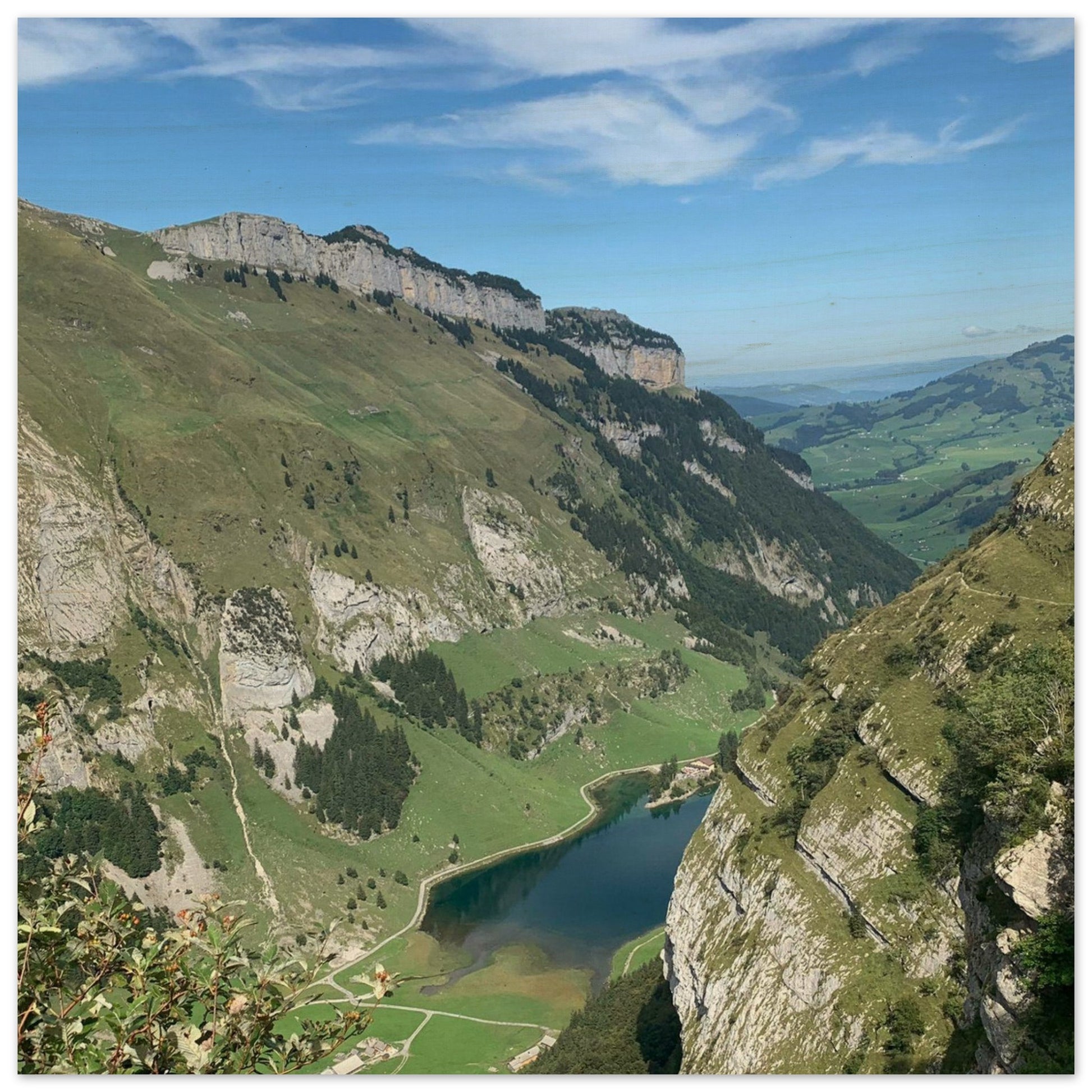 048b694e-acfc-4b8a-a444-de051174ecfc