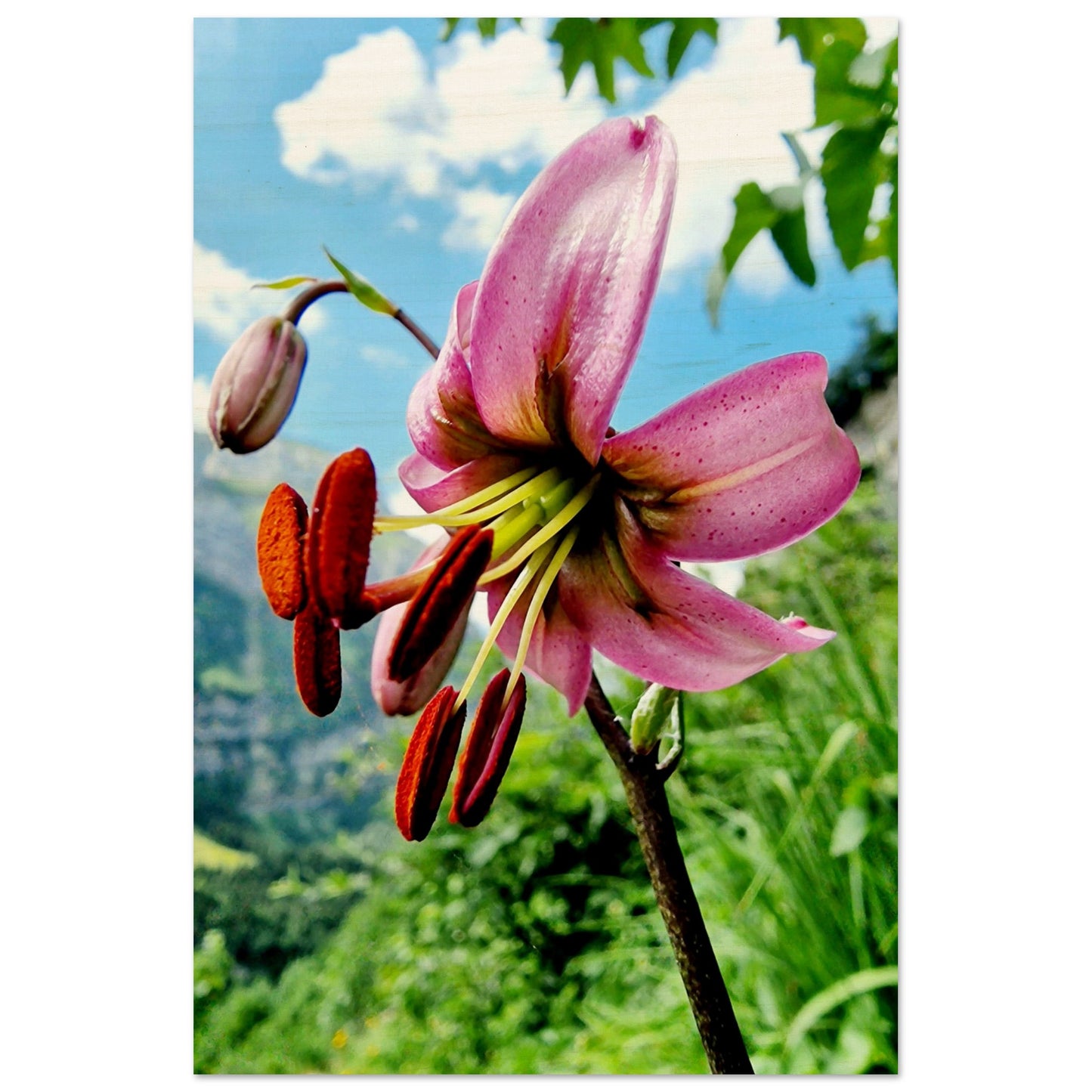 05c67121-3bc0-40d1-87e1-909d4298eb22