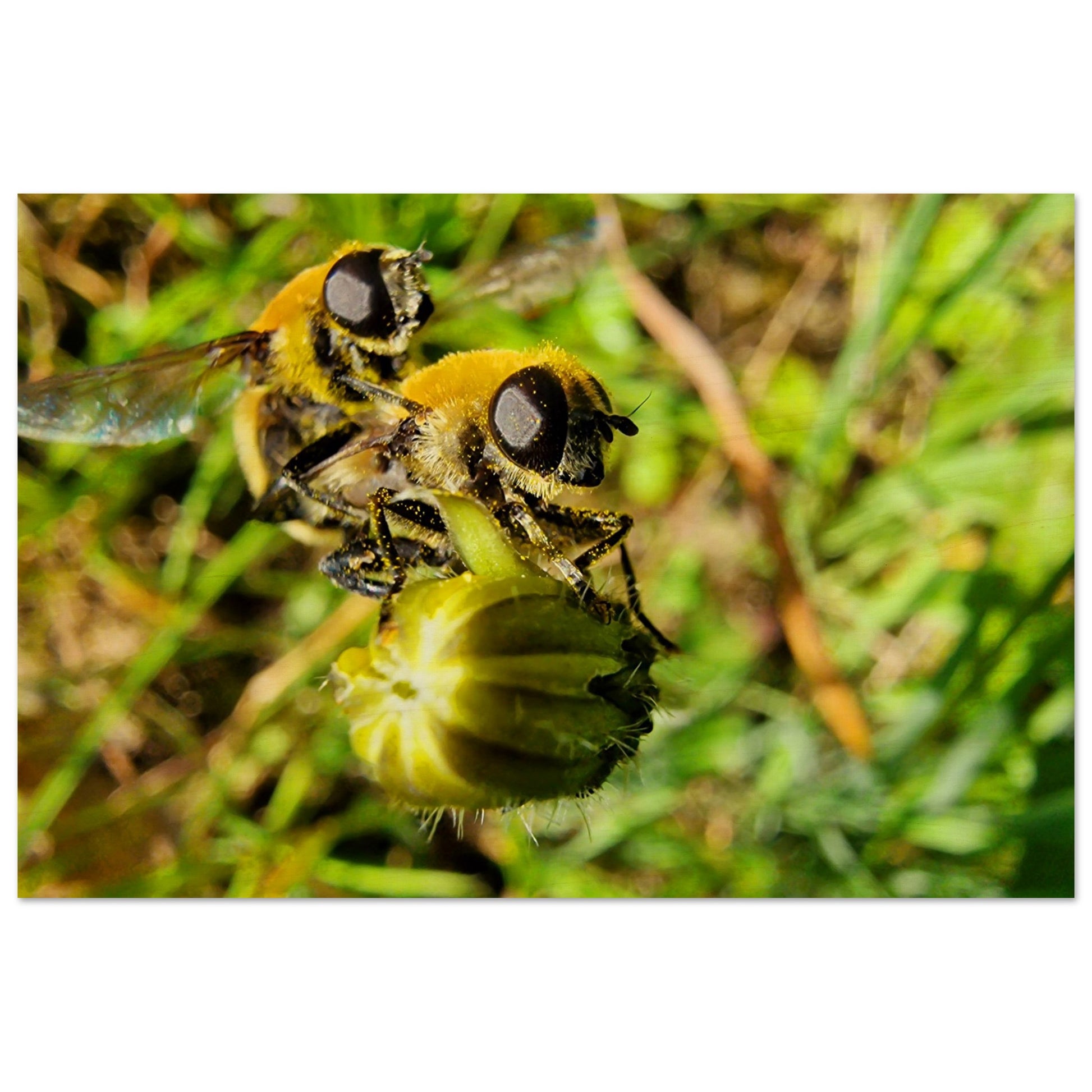 0ad0ab72-f171-4d96-812c-09a2f2eca792