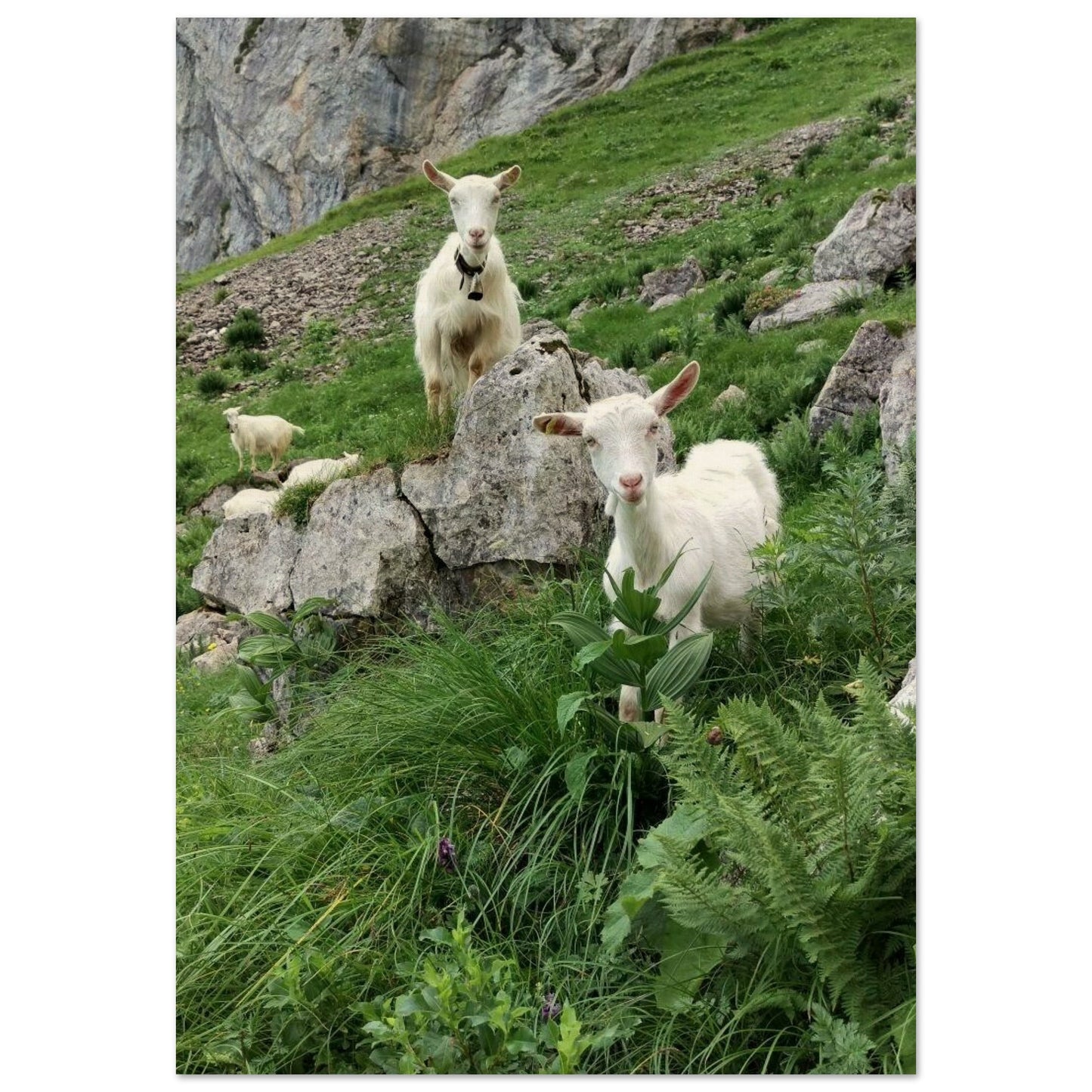 0b1b0fde-6885-4ec9-82a7-9eae87cd3236