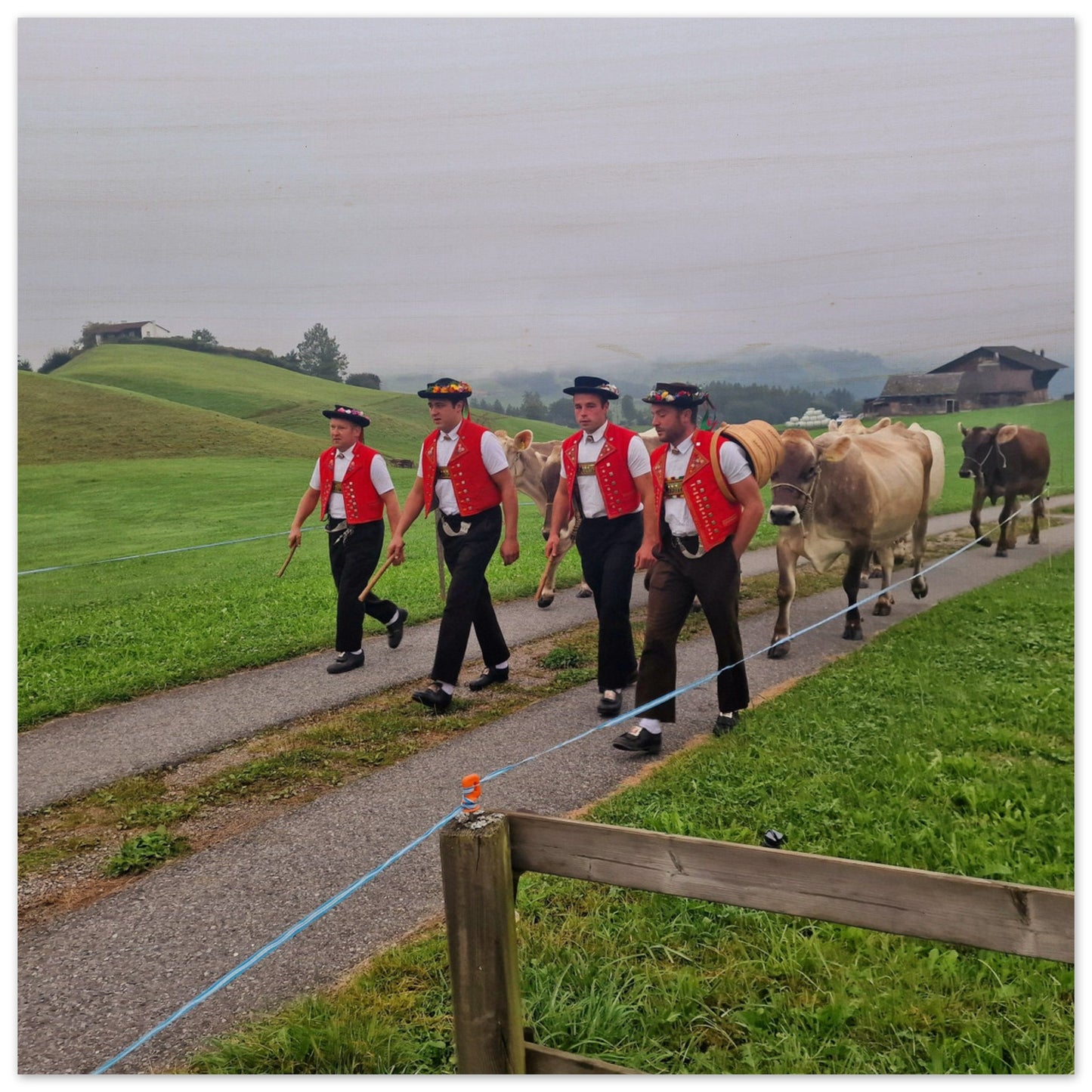 0cb902a5-bdcb-48c9-a62f-48c625fa9163