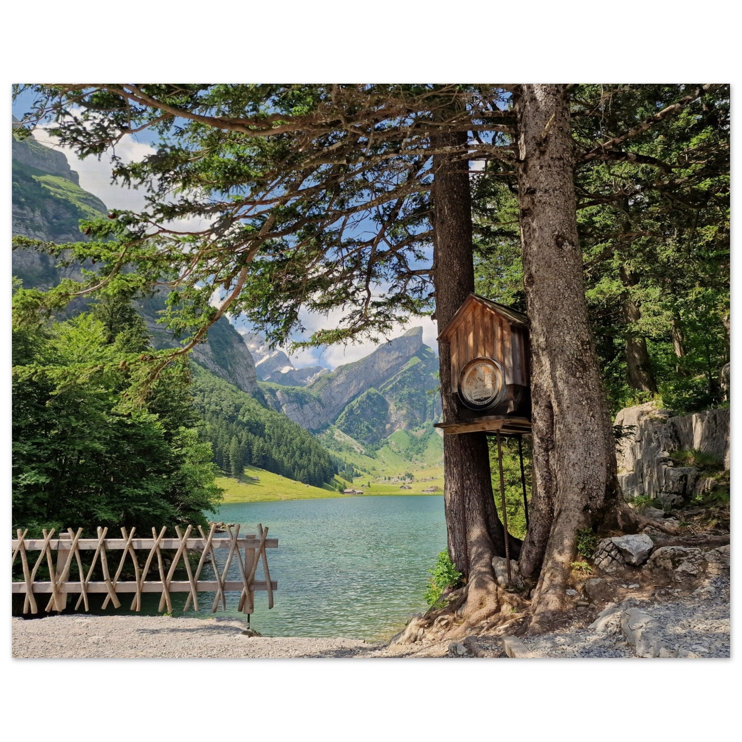 0fc88446-d5e4-4b4c-86e1-70f0e481ba8e