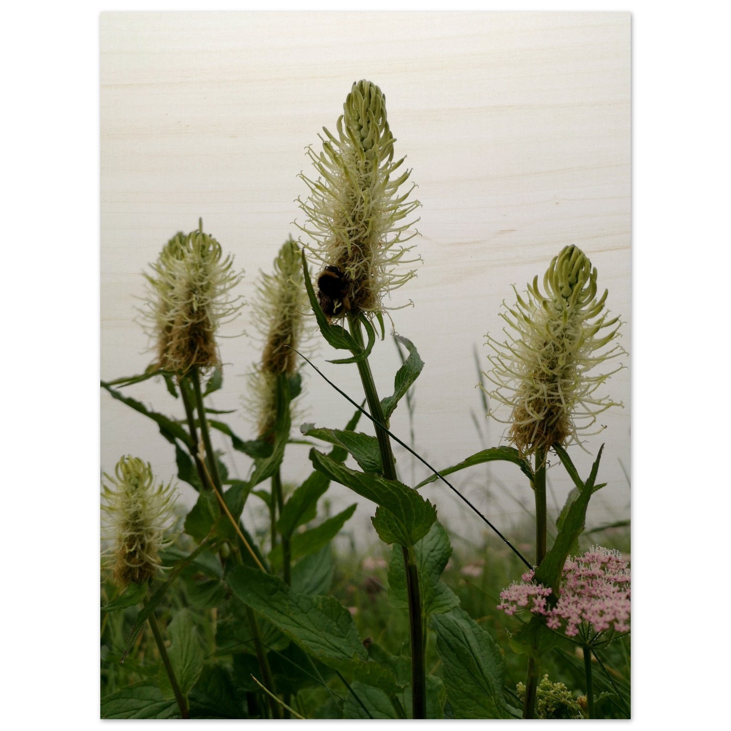 0fca31e9-6150-48d8-b9a8-6dcf5548e0dc