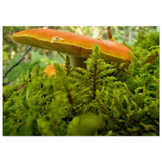 109dcdc8-fd67-41aa-bf7b-3255f0ec44ac