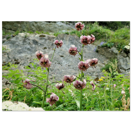 1188b02d-2415-4ee7-a533-88cd817c8d95