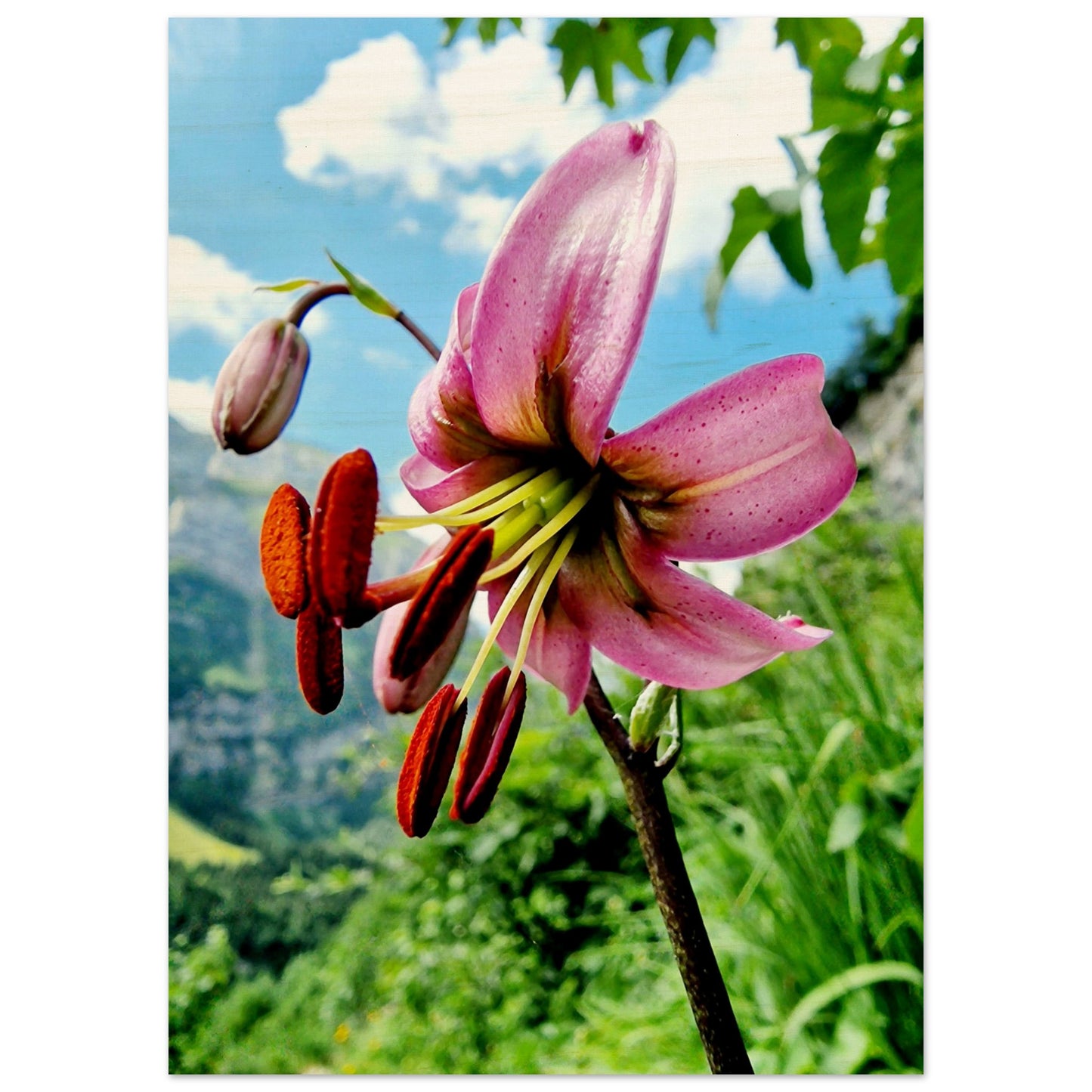 12239d6a-7eb0-45d6-a23d-5b74151f3d73