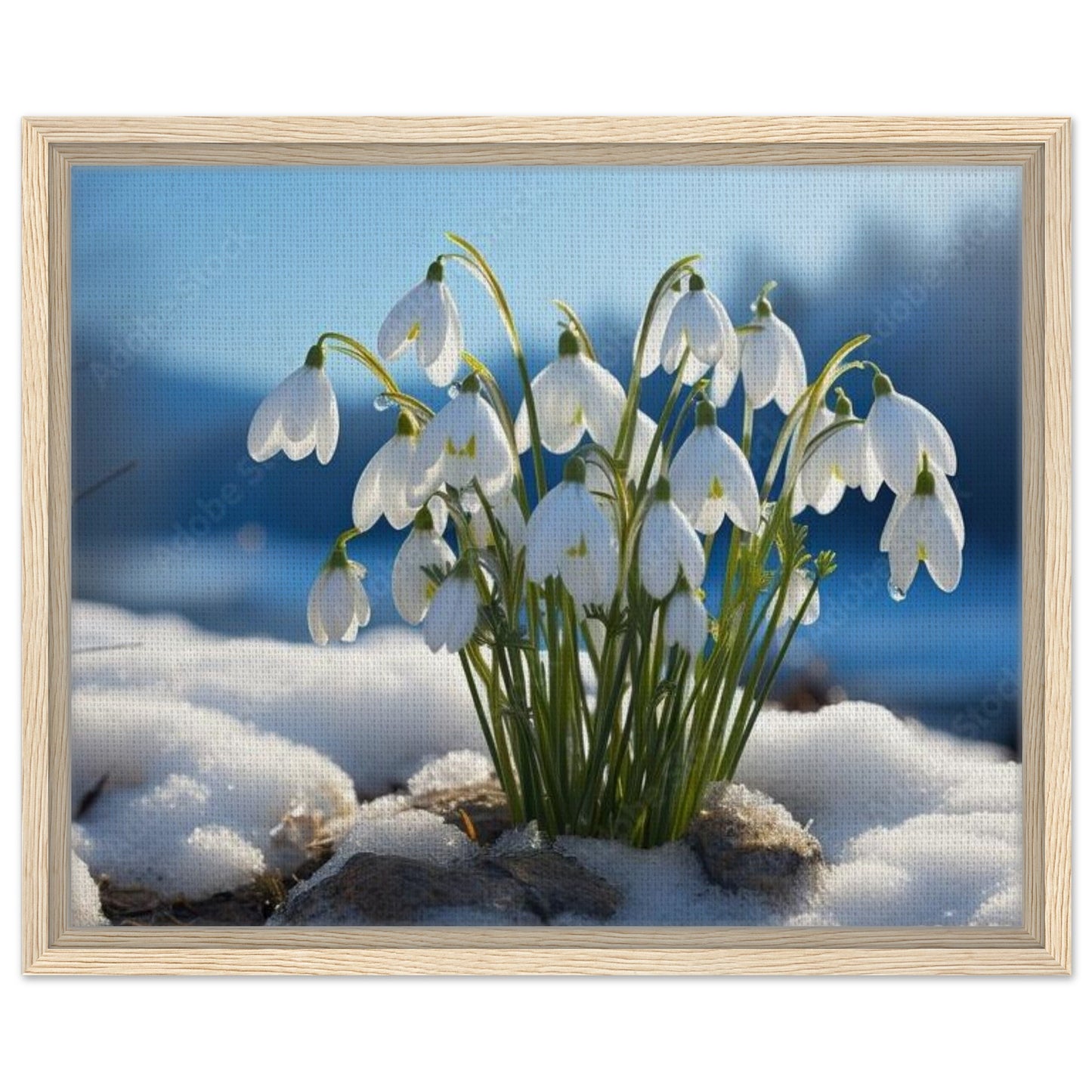 1266a126-067a-49dc-8c02-37145b3ca2d4