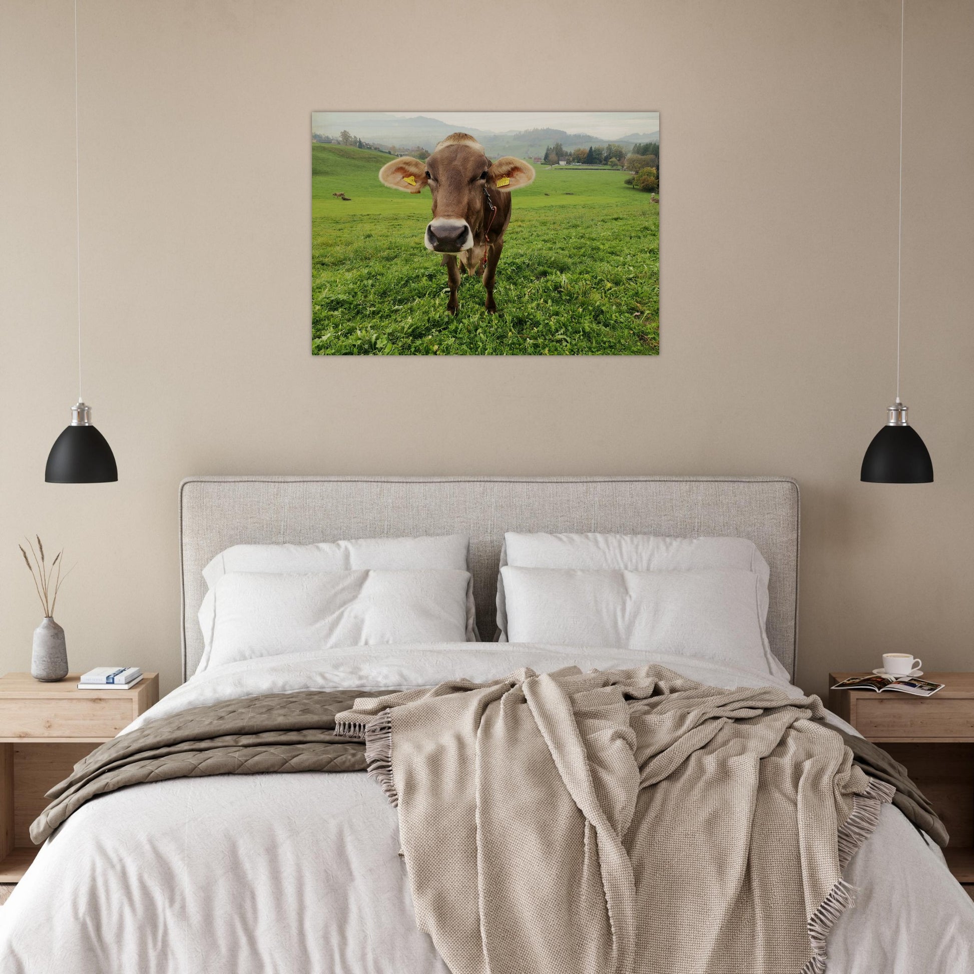 12f98c78-443c-4286-b59d-f7802242c5ad