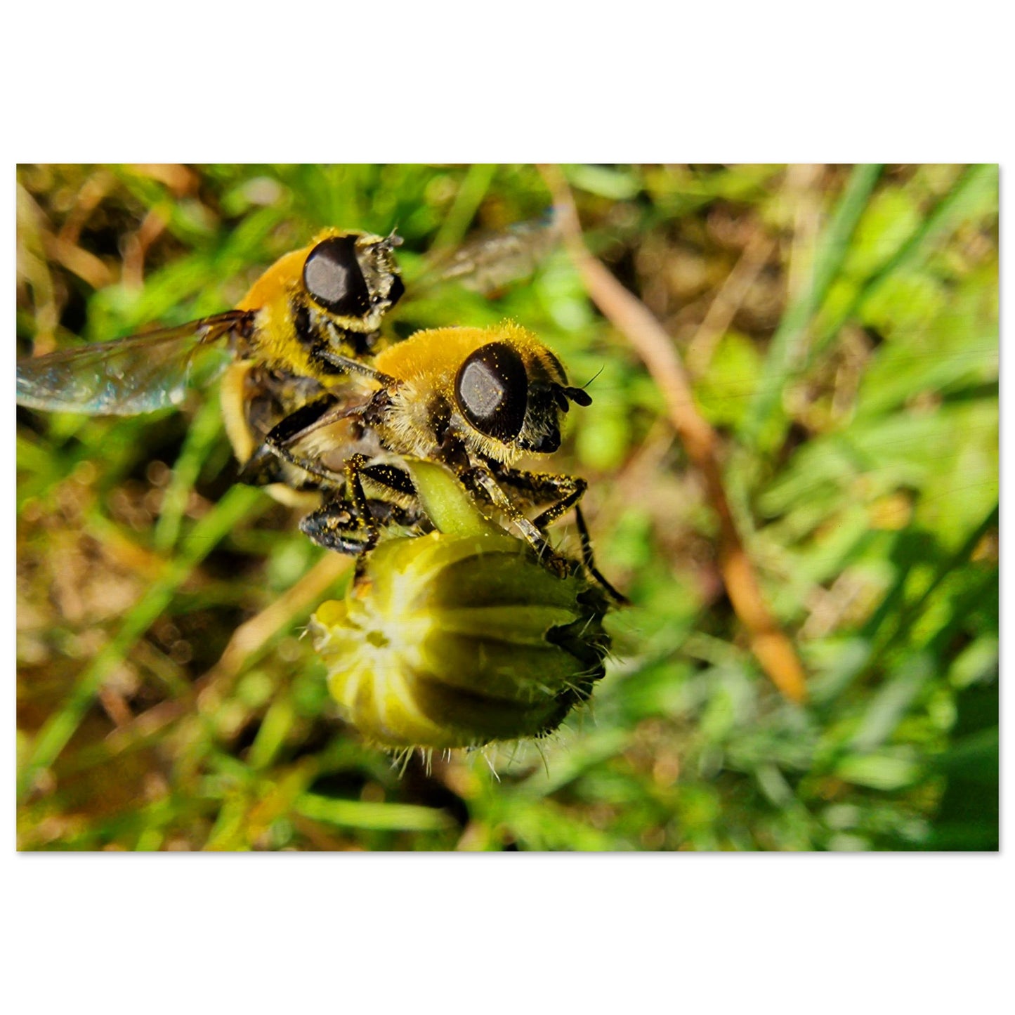 151a71e7-a626-4e8a-bceb-ef04be231291