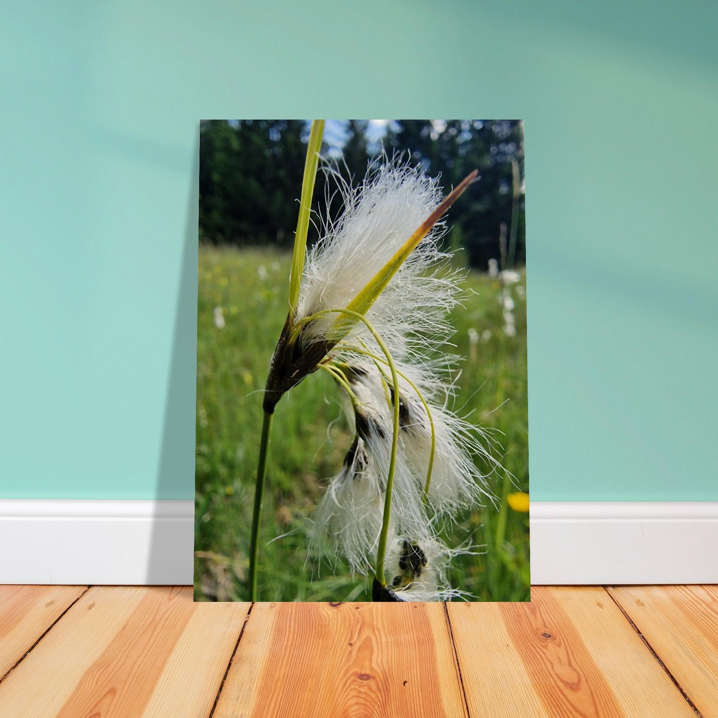 162cee5e-2cda-46f7-948b-53fa776e4659