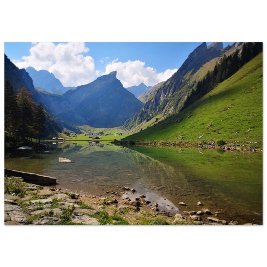 1993b98e-43c2-48b7-ac47-815a1b21dfc9