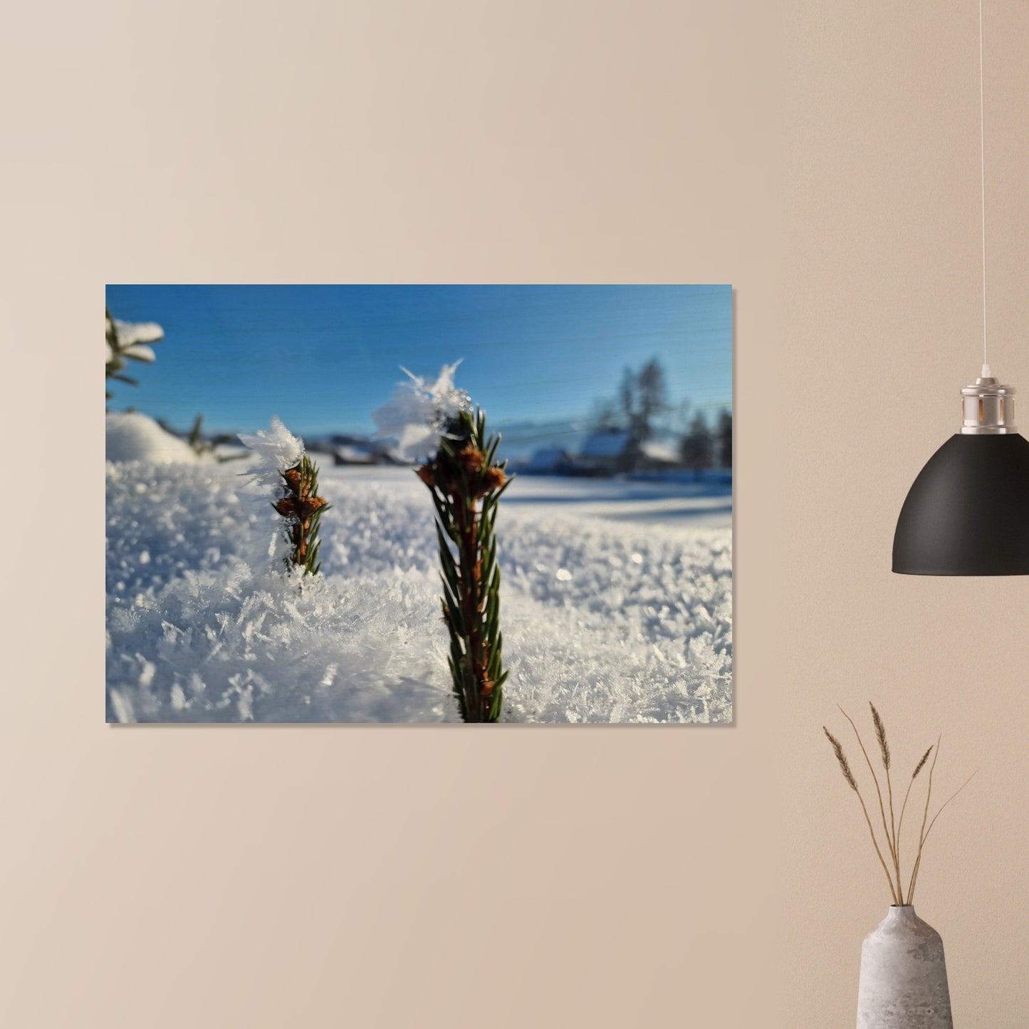 19d735ec-1b3a-4861-971b-92df5b2703d5