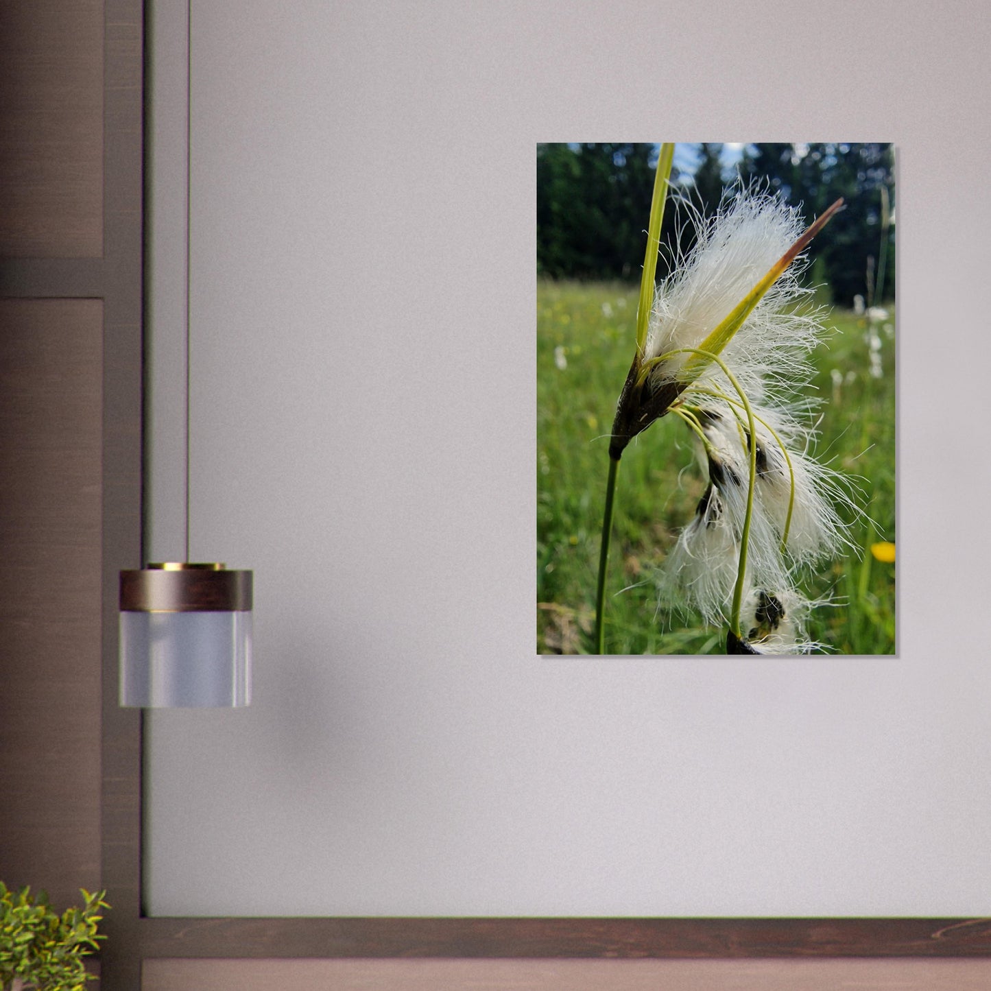 1a953e6e-1a9f-49bf-9eb1-6b3b41a69e87