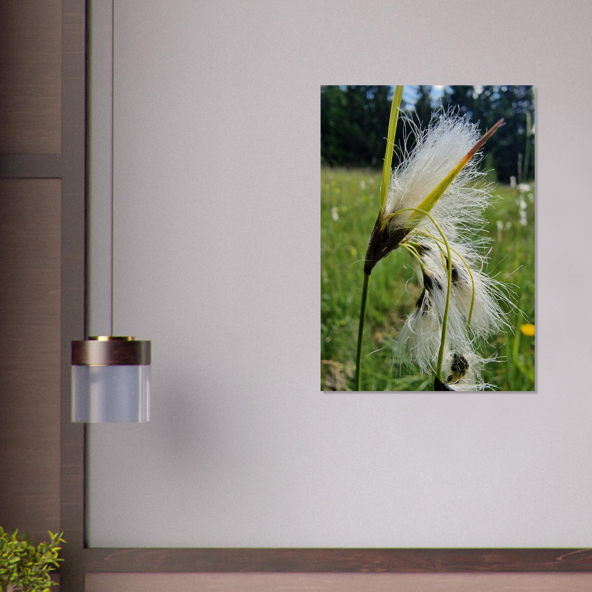 1a953e6e-1a9f-49bf-9eb1-6b3b41a69e87