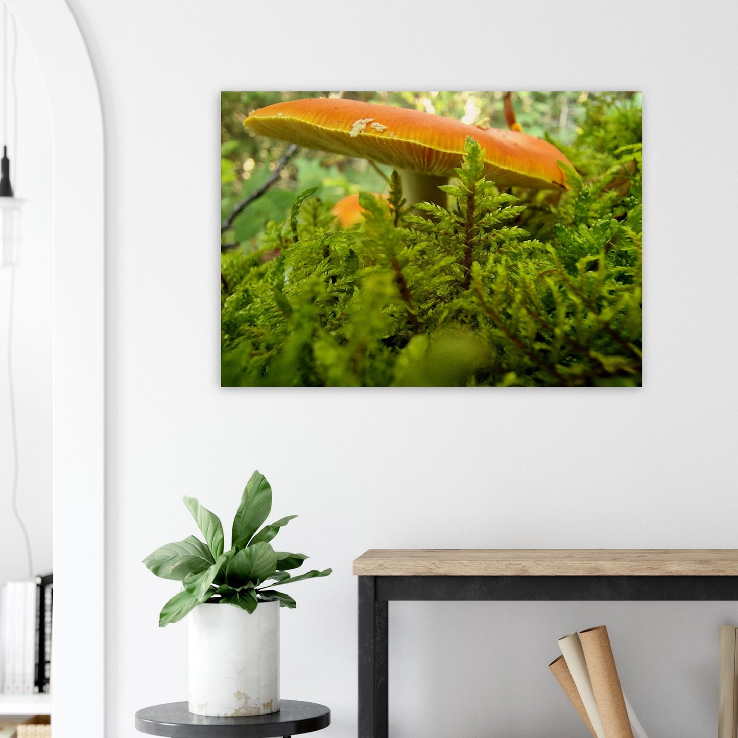 1baf6784-e6f3-4e05-a868-dfbde1c10d47