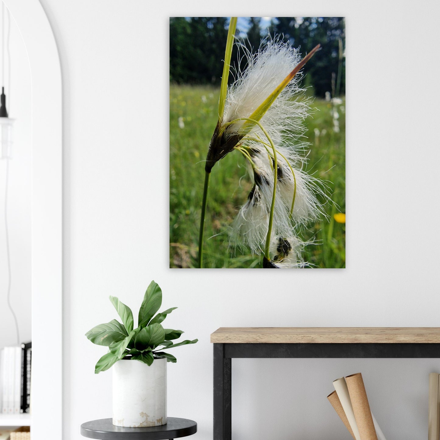 1bf7fae3-2d72-4d2b-a872-f1f9adcb1cb7