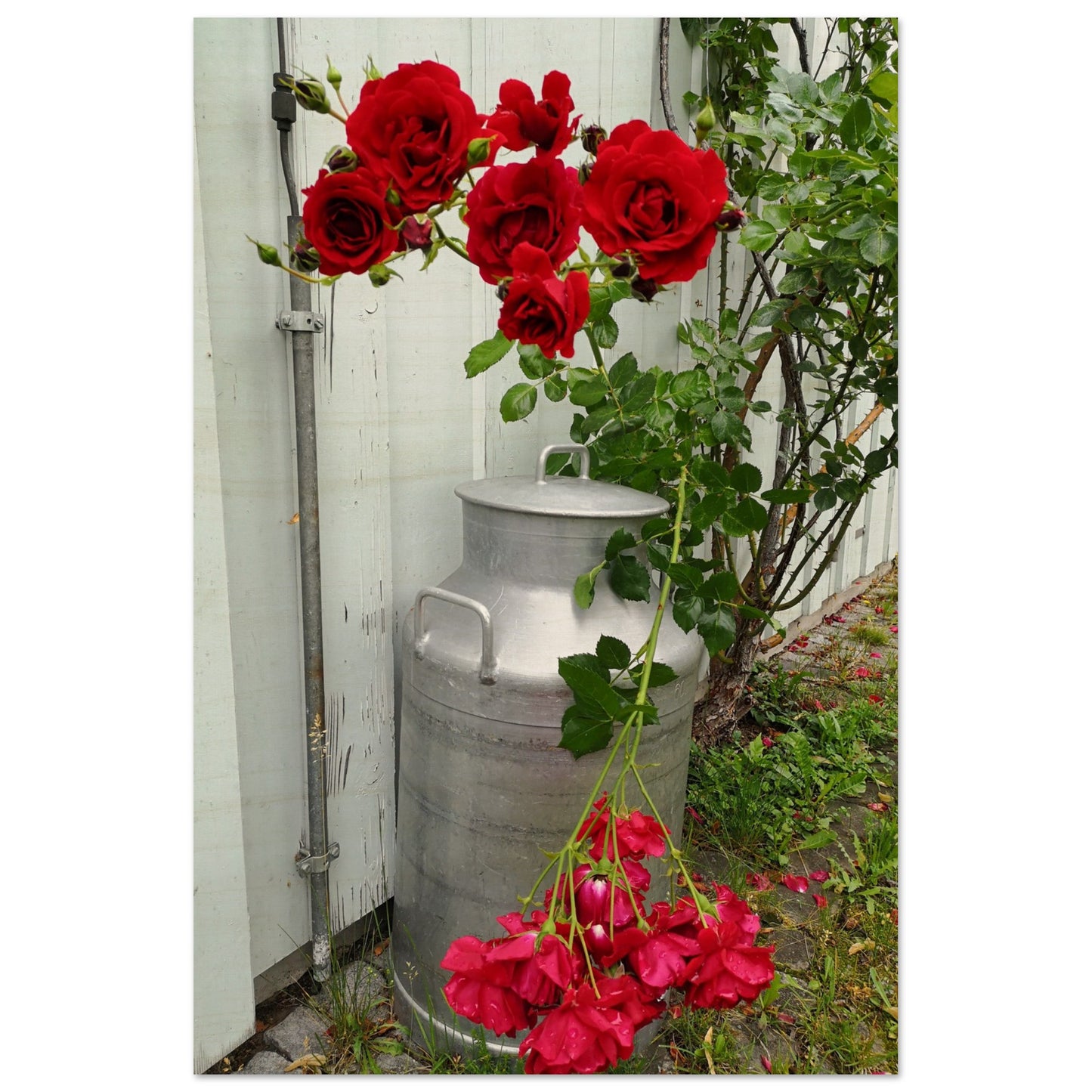 1c1f9f90-c4f6-4cb5-8410-1fc59d915ad8