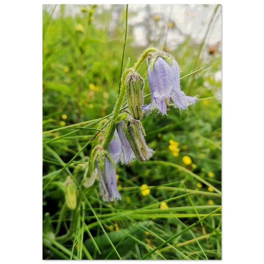 1cbbd1ca-9b22-42b5-8d51-d2be471e5228