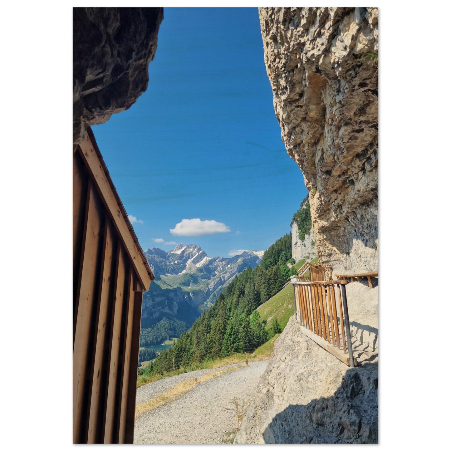 1f453b86-e861-4921-9db4-a7ce5ba5f281