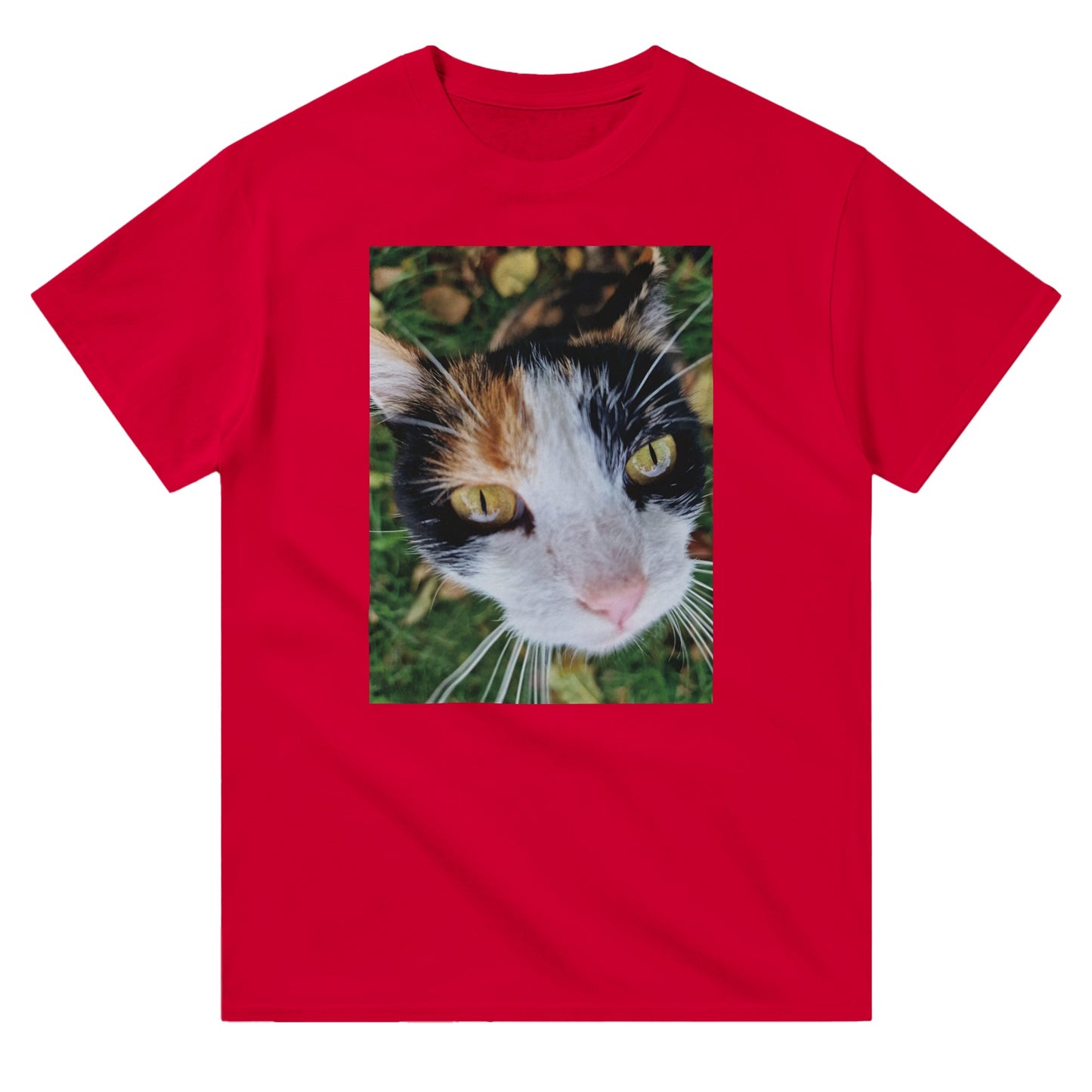 1fa59811-0134-4917-8c9c-2759723973a1