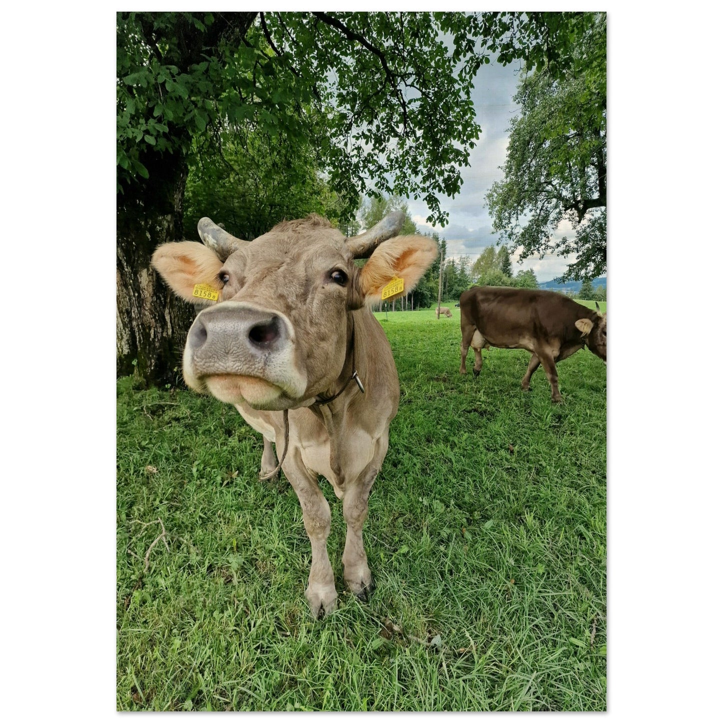 20999ccd-20c9-44eb-8e94-5cc4952e9808