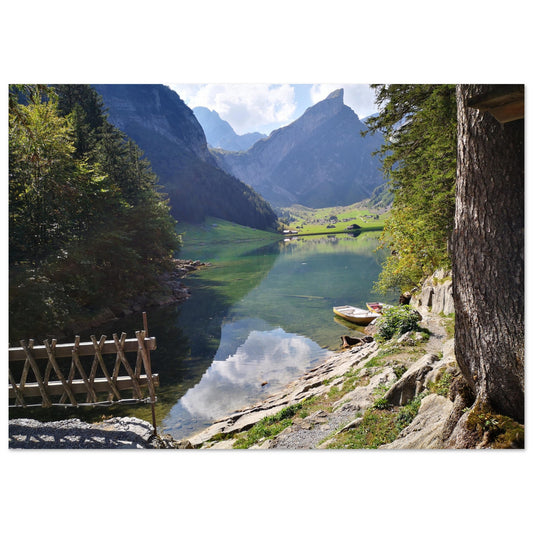 22da897b-41ad-4f83-bc0f-68af4d80623d