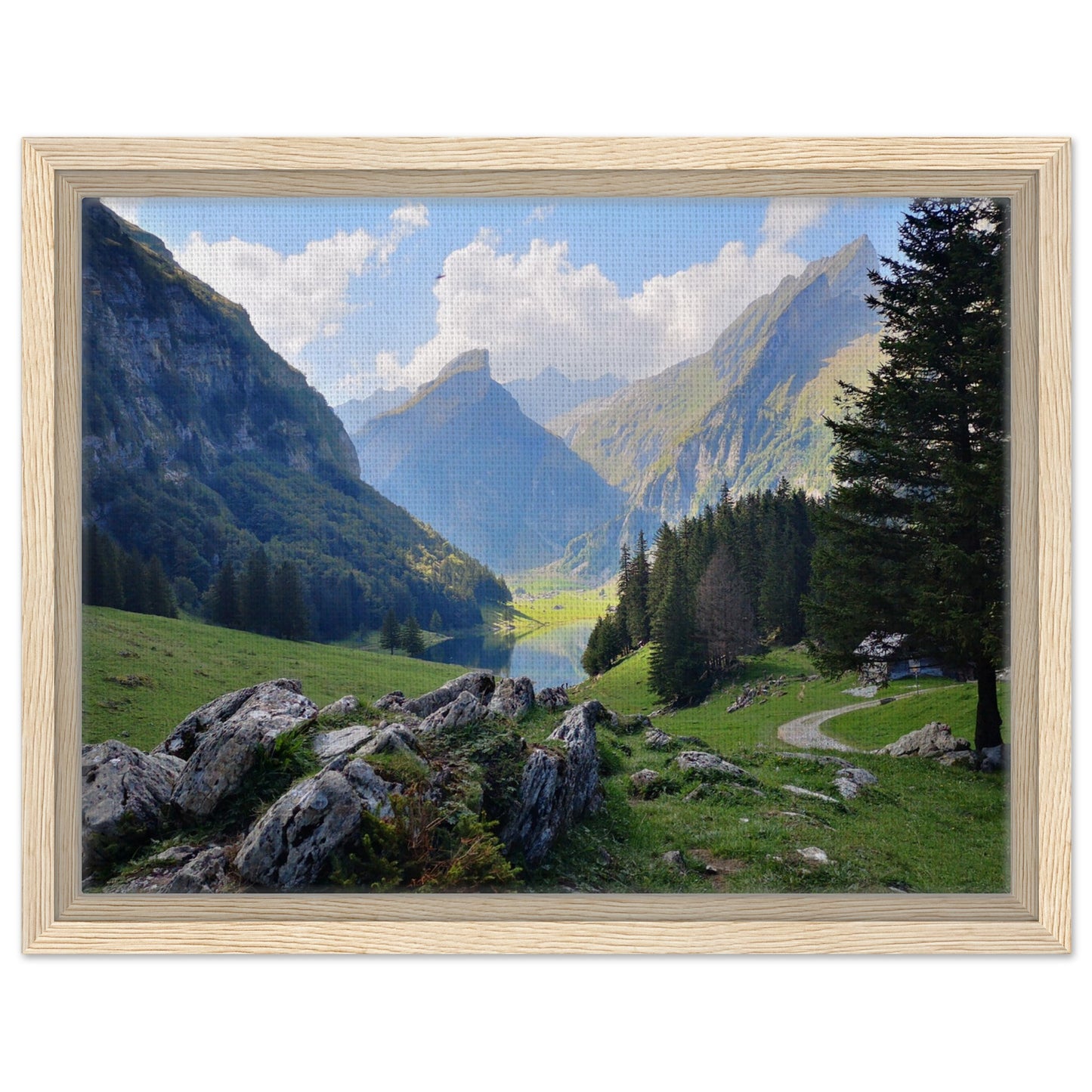 237ae528-df20-42f8-9f8e-1c40da3b8396