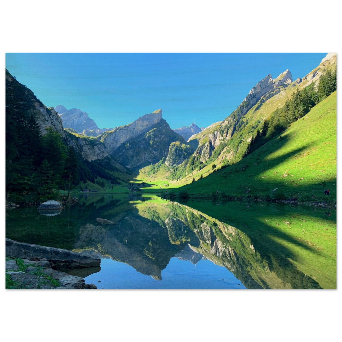 2602a5ab-bc6c-45ca-9330-c7e9413631b4