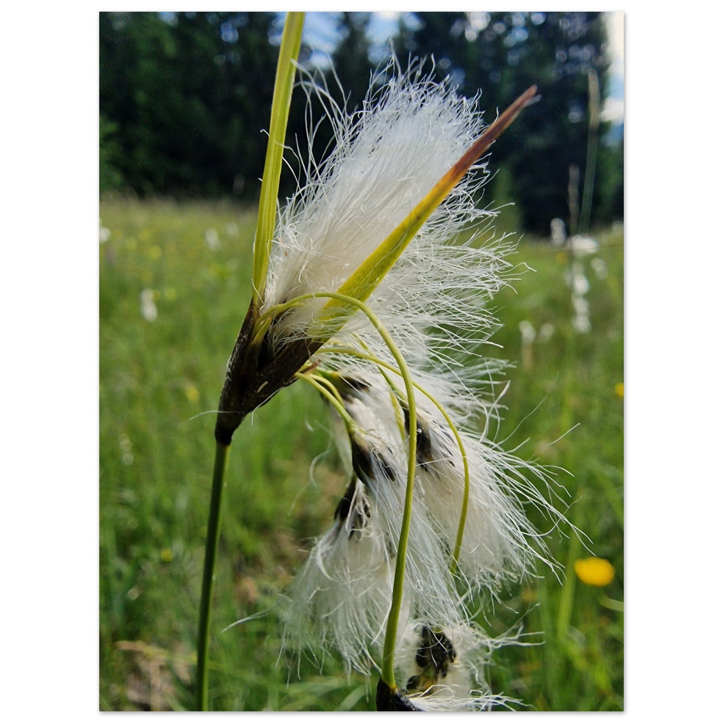 260a2ee4-bdeb-40fb-93bd-69d683bab5f1