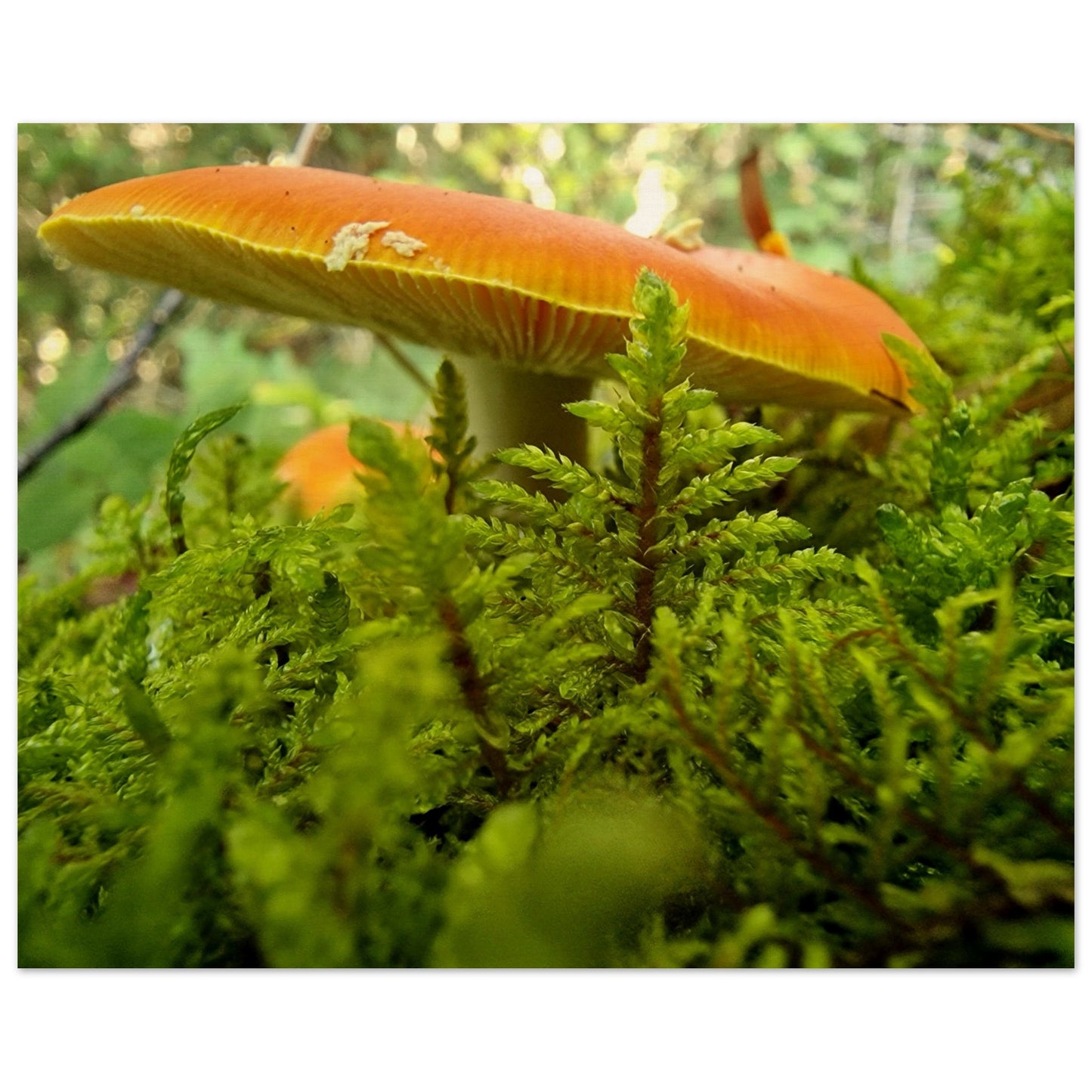 261749f5-cf92-4a61-a171-4652f4480622