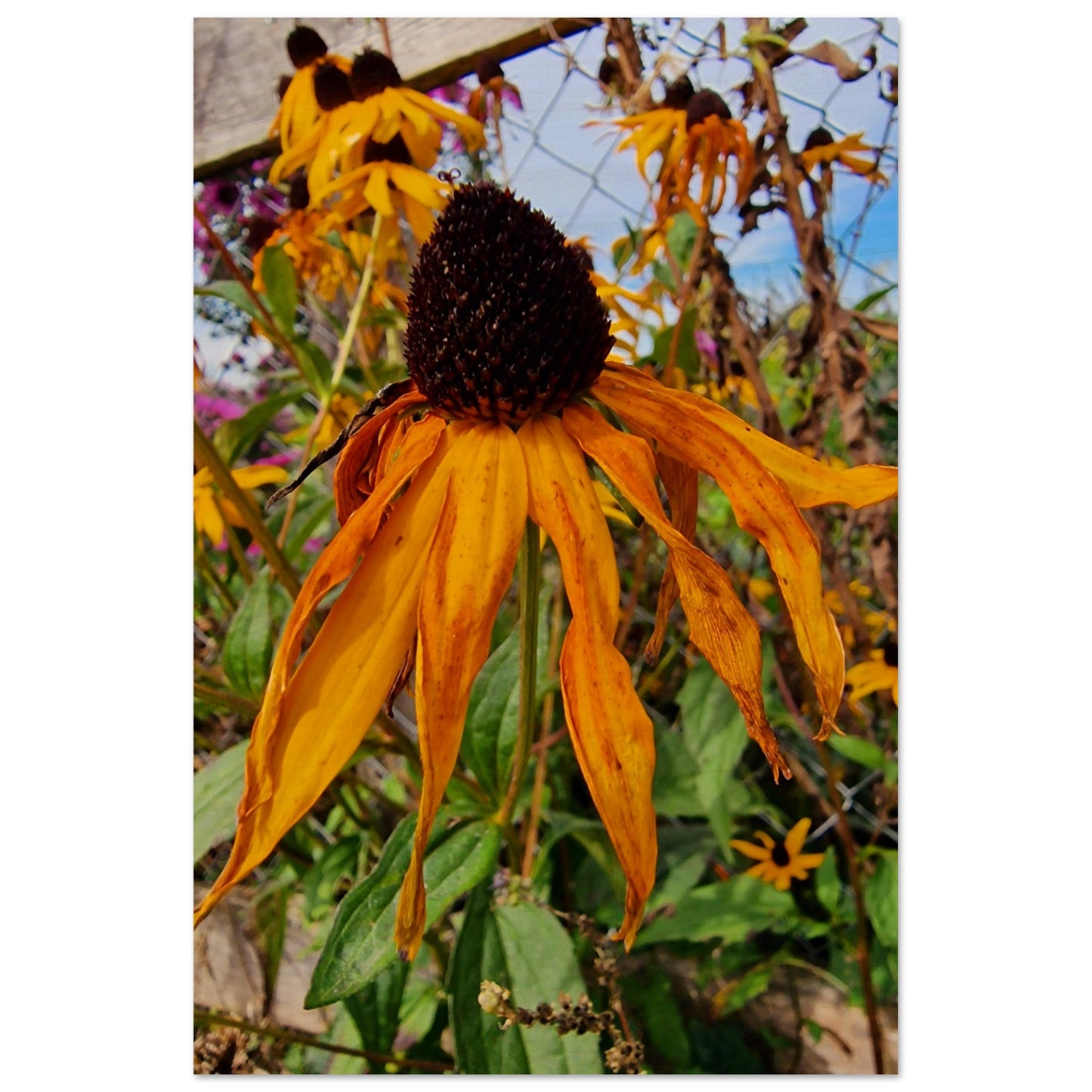 28f5e6e5-56f2-4710-8927-eef5f91eecff