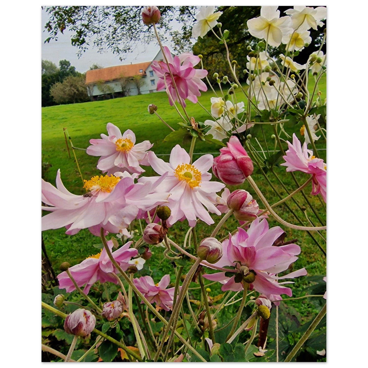 28fcb67d-4b62-42ec-9f49-6393e0d6b9b2