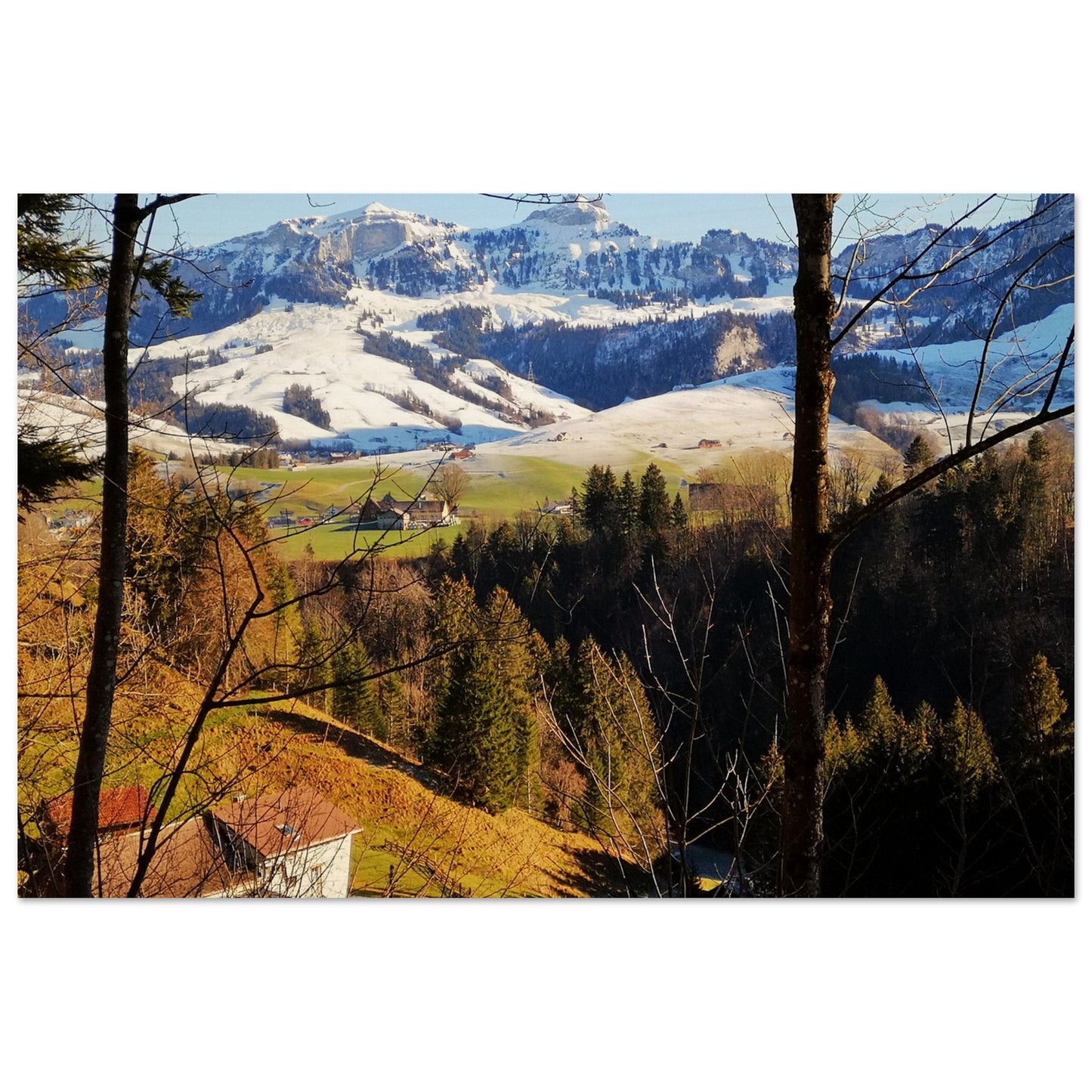 2ba8b6a7-6f31-4678-bad4-72a59b7f8ef2