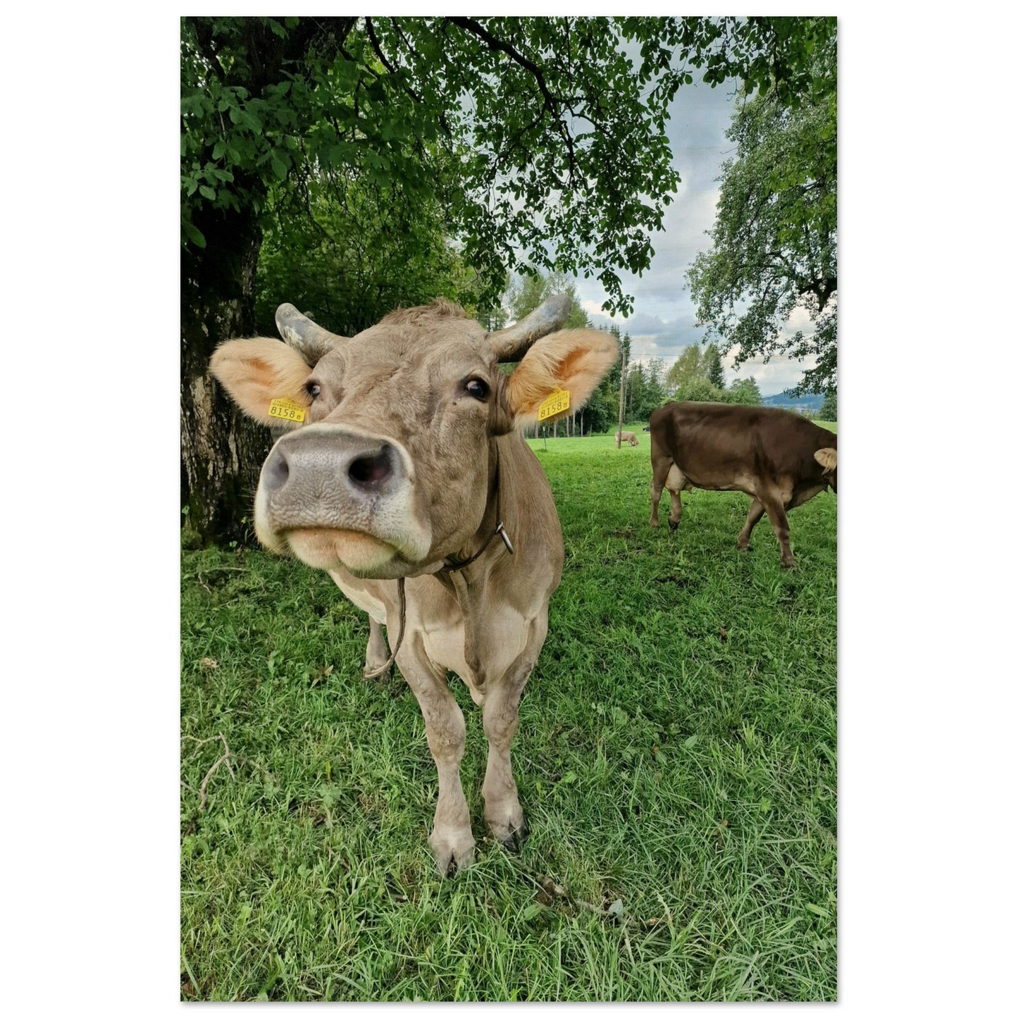 2c8c967c-e0eb-4bec-aed7-2f73a40cf636