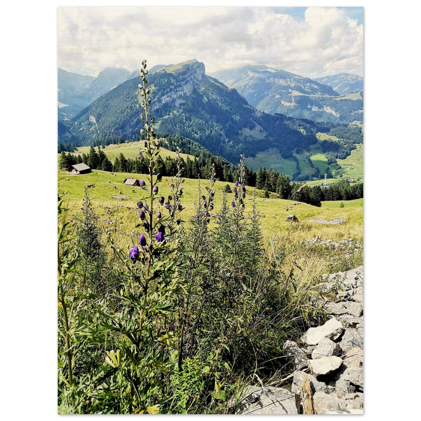 2ca7e1e6-45b8-43f2-af7c-01f1745aec23