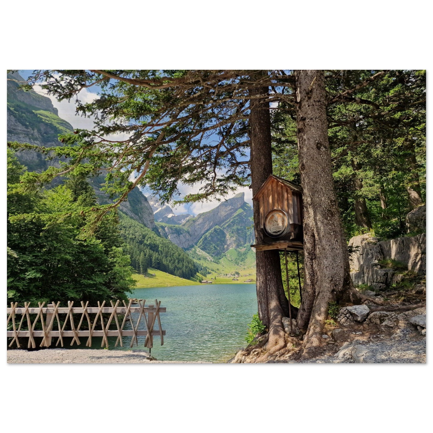 2cd5fd85-a398-469a-b9cc-9debe23ce356